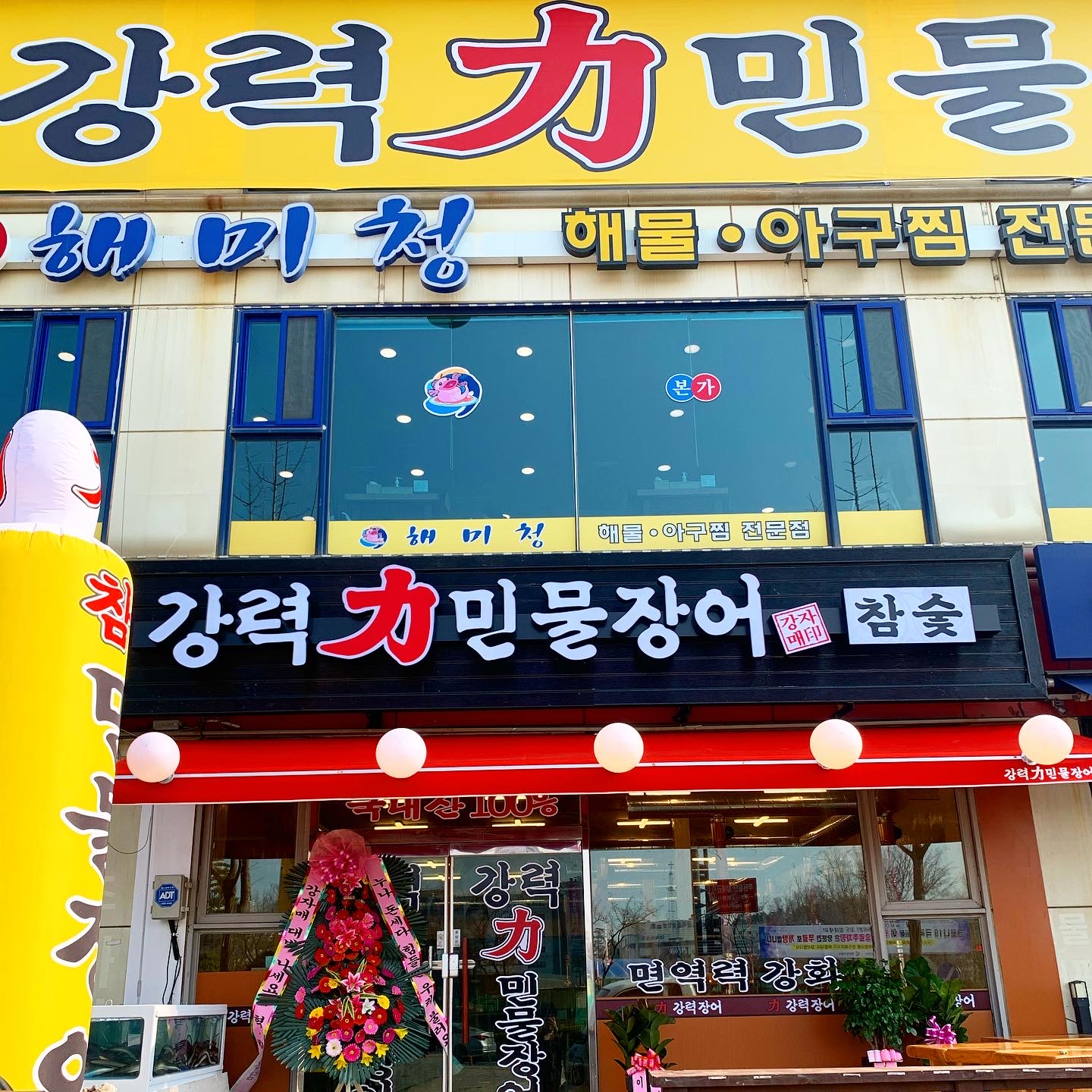 강력민물장어
