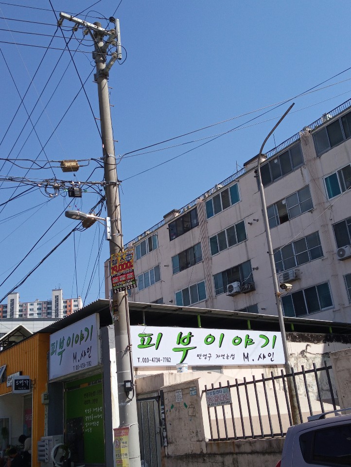 피부이야기 대표 이미지