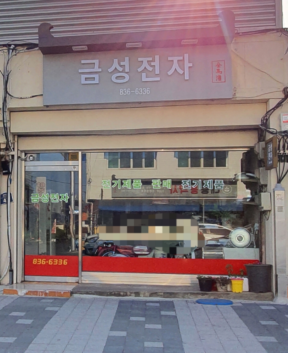 금성전자