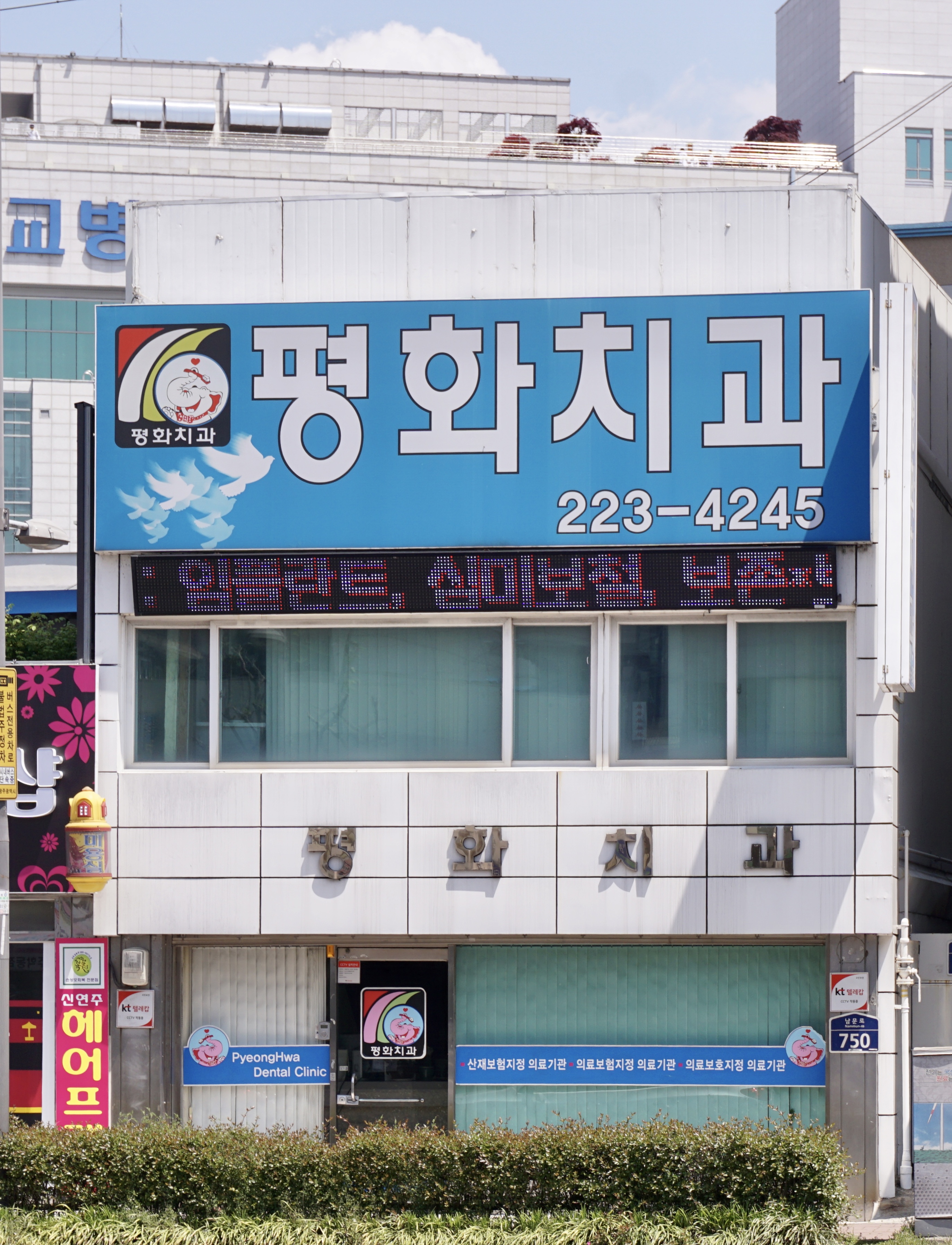 평화치과의원 대표 이미지