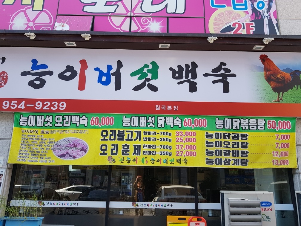 산능이네능이버섯백숙