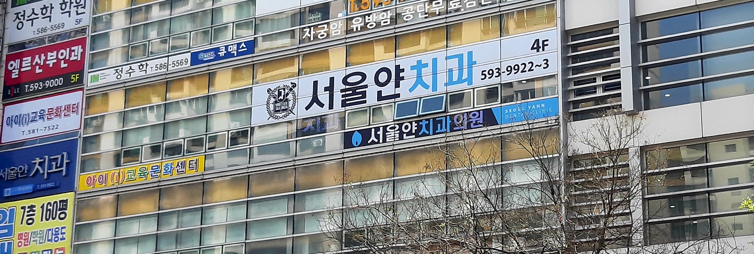 서울얀치과의원 대표 이미지