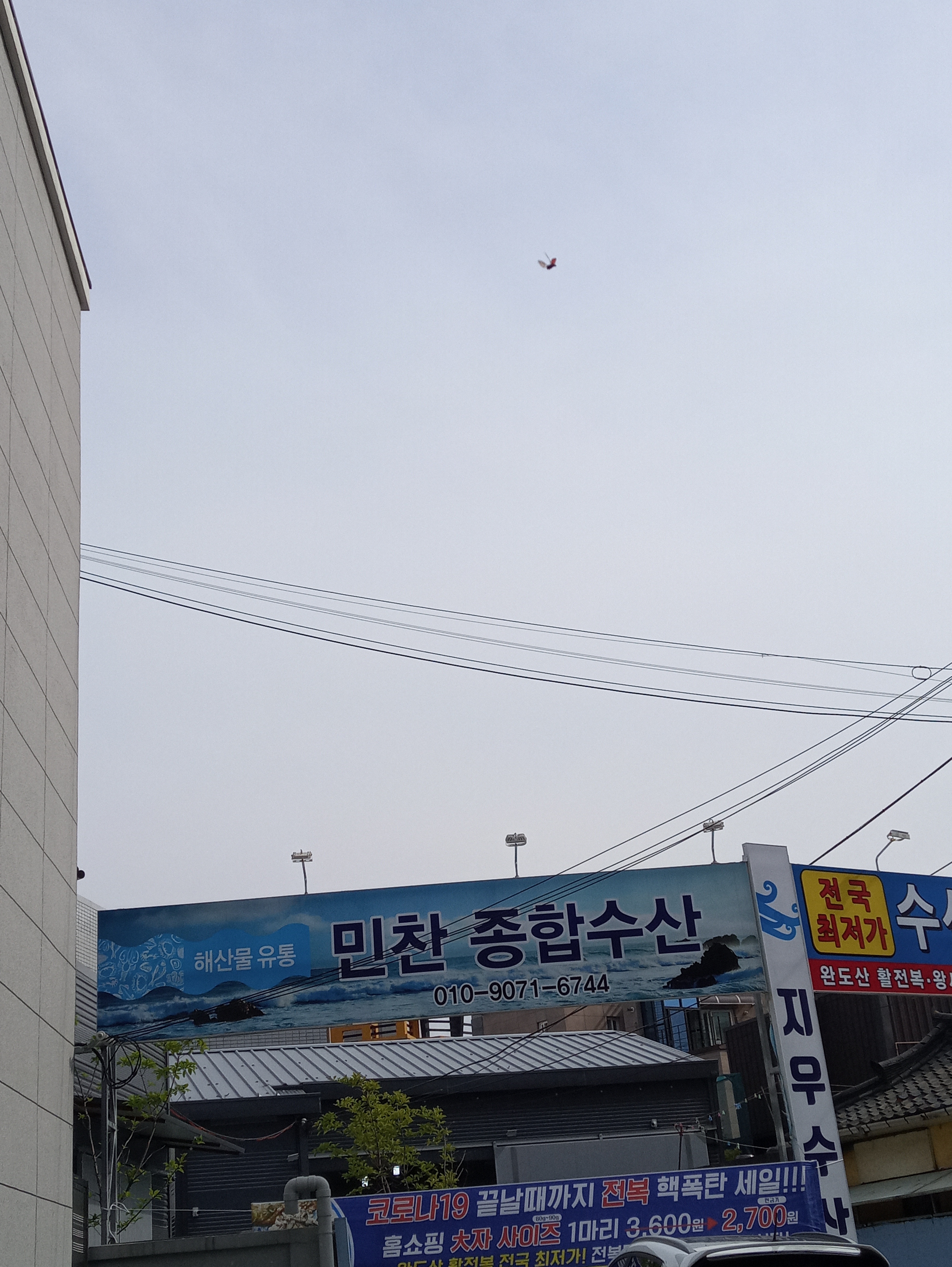 지우수산