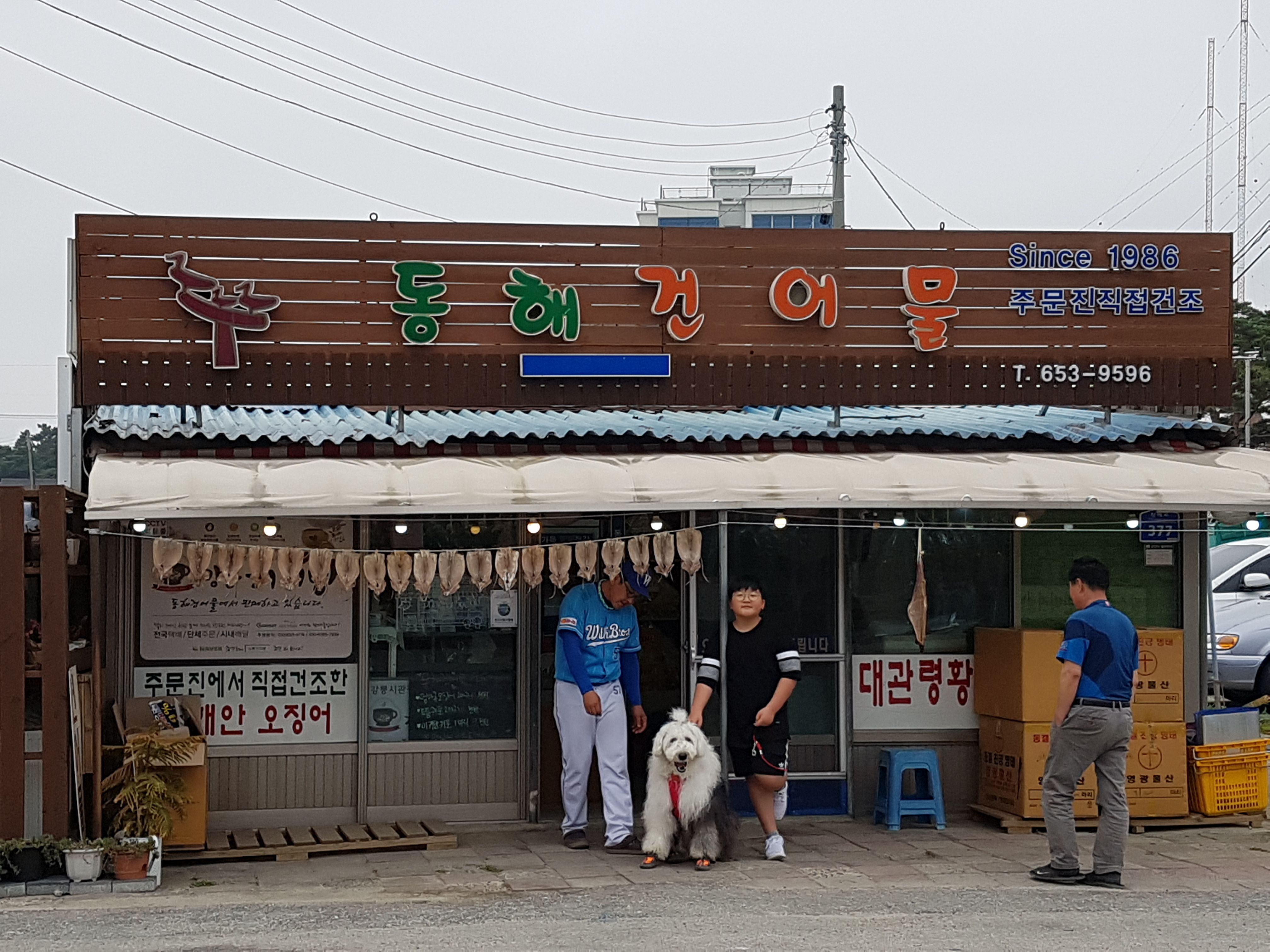 동해건어물
