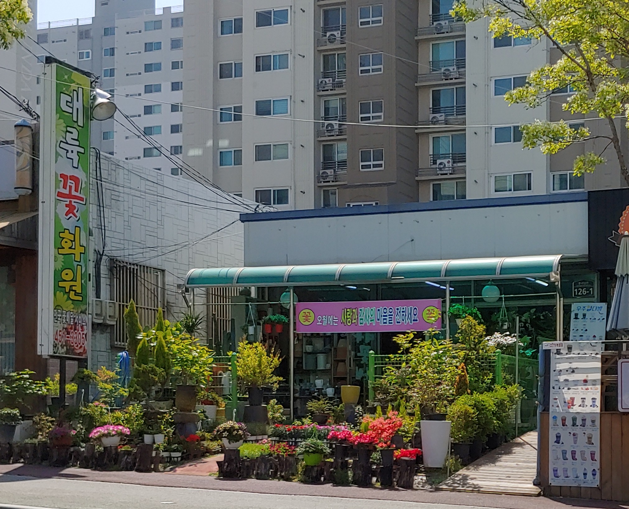 대륙꽃화원