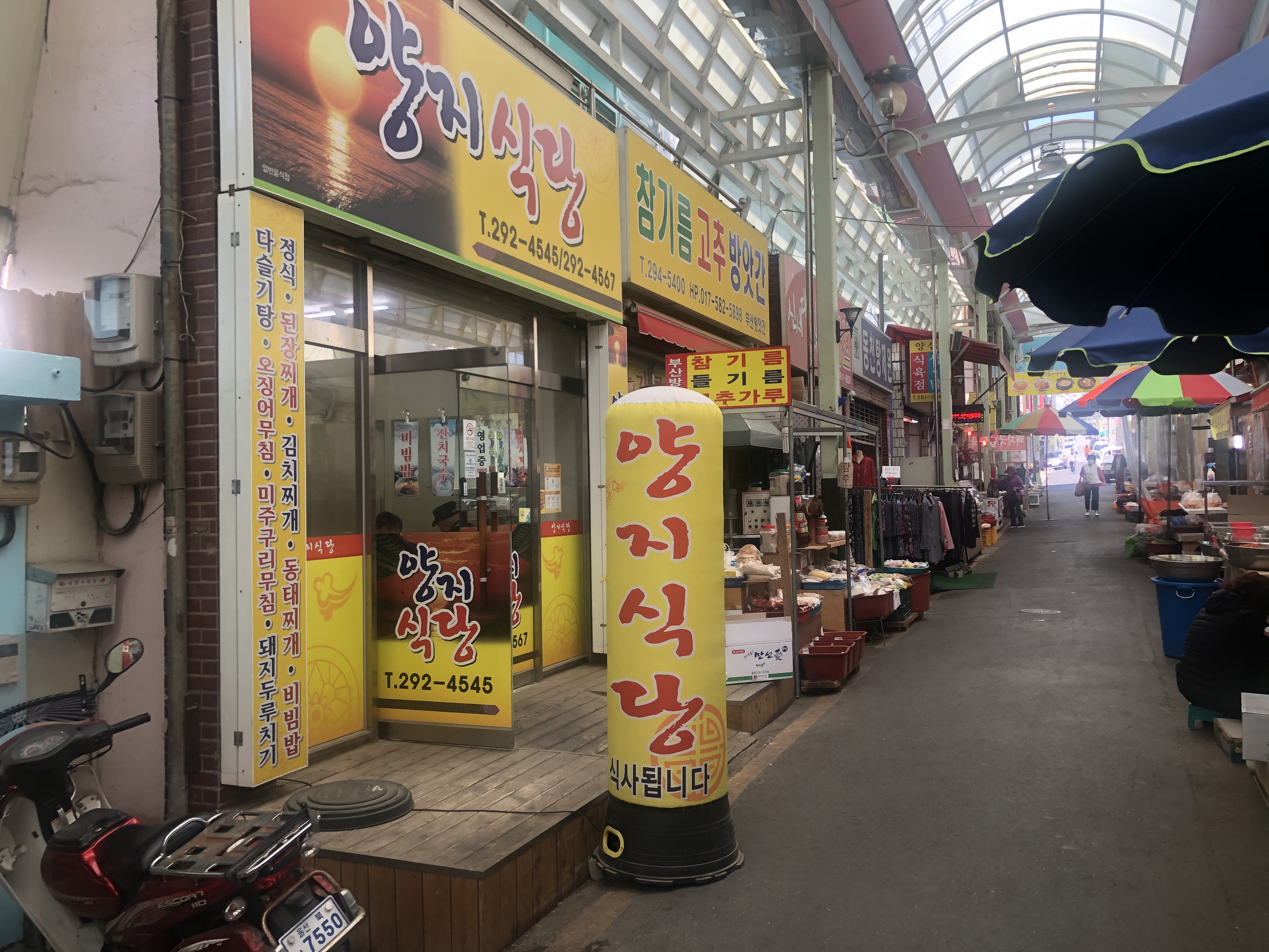 양지식당