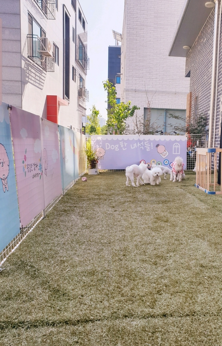 아토 사랑스러워 대표 이미지