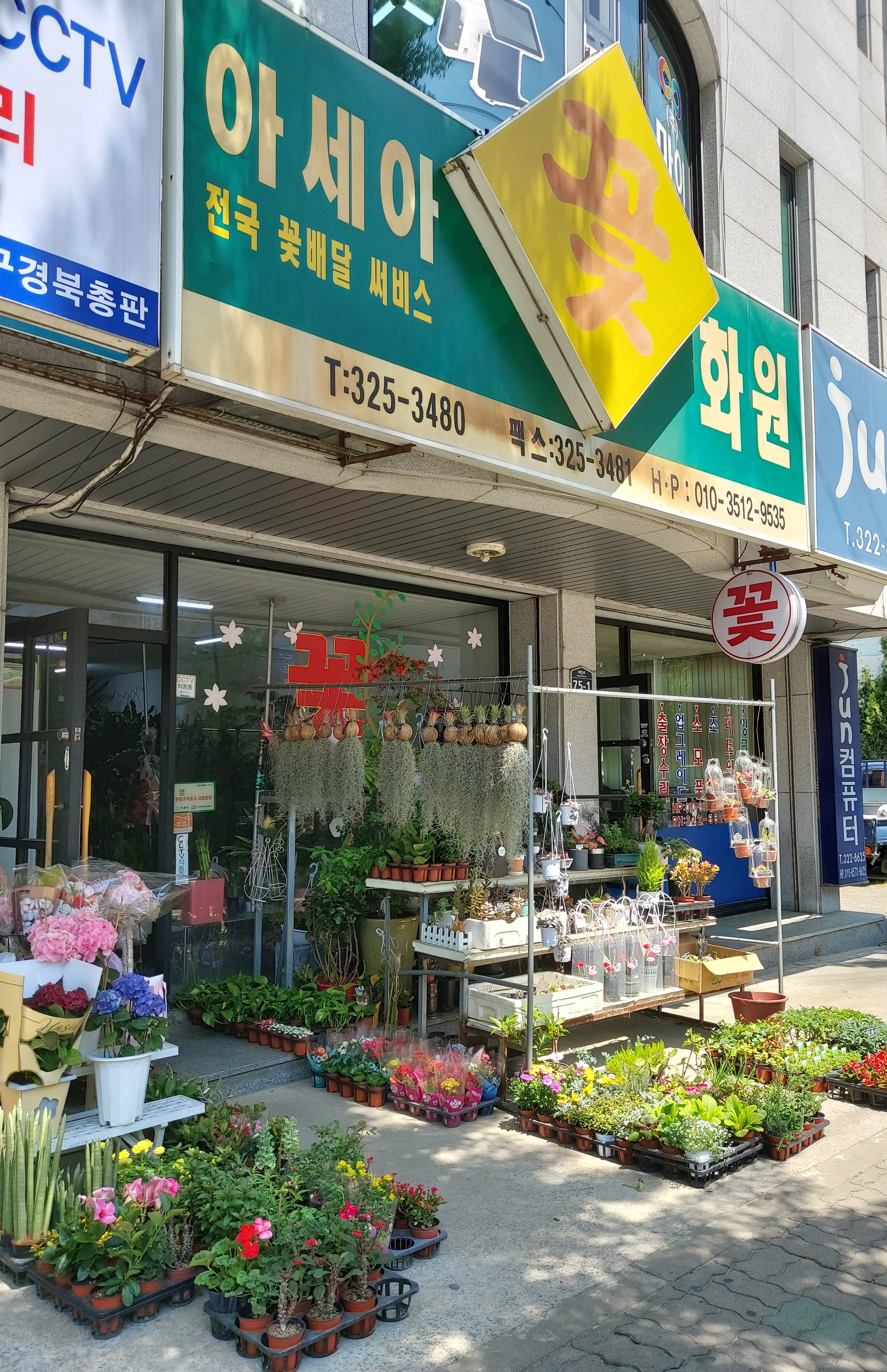 아세아꽃화원