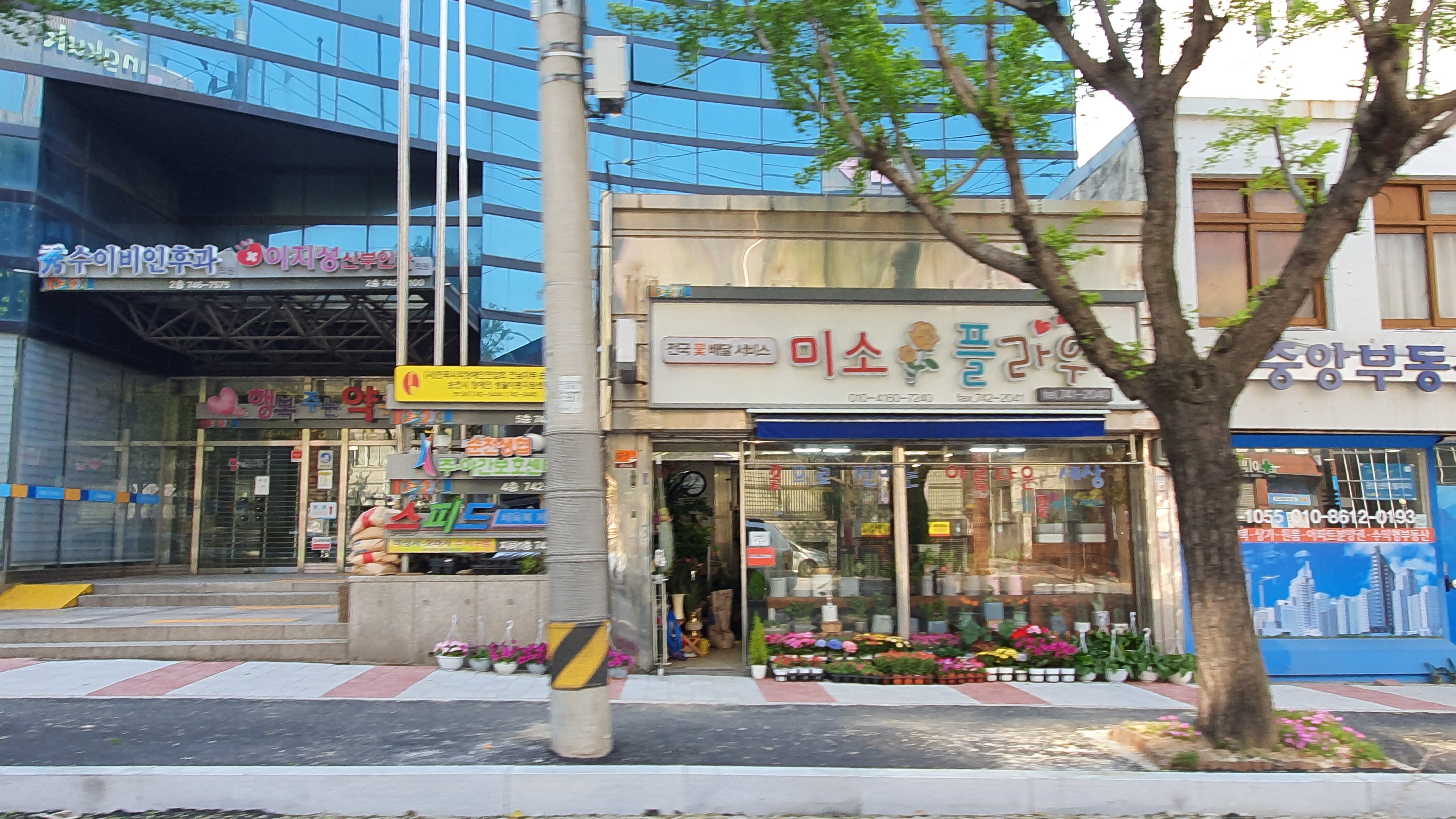 미소플라워