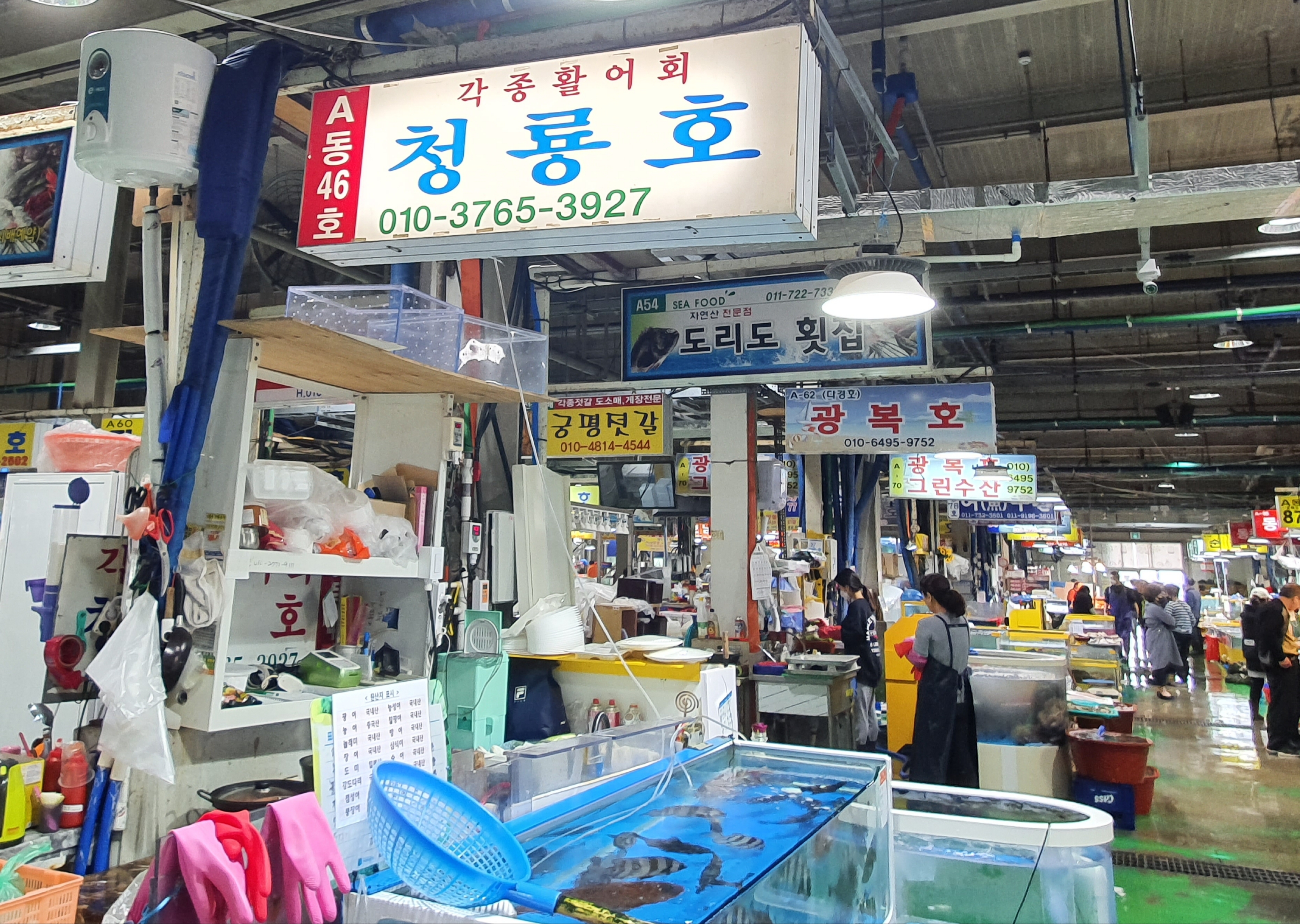 청룡호
