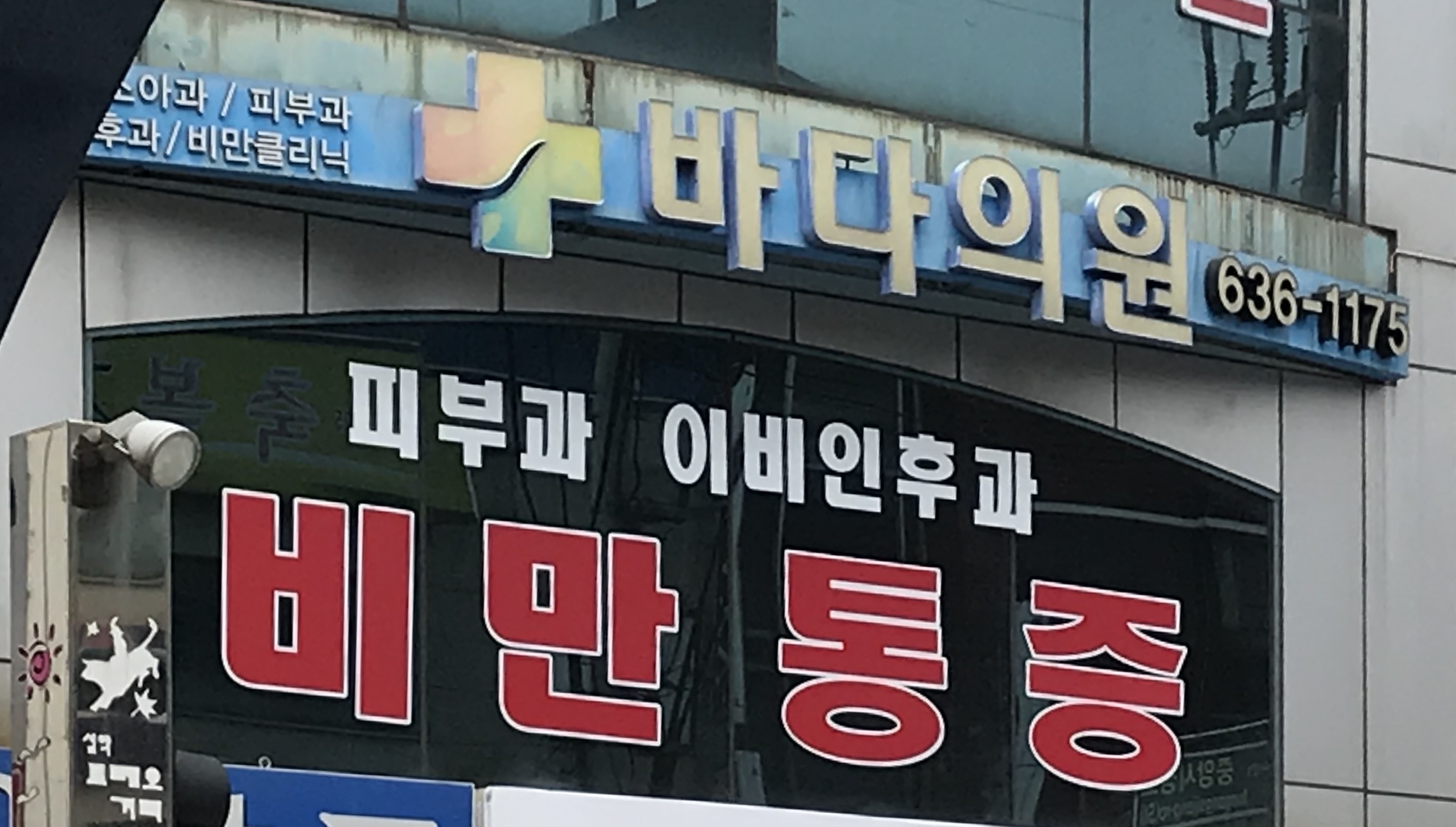 속초바다 의원 8