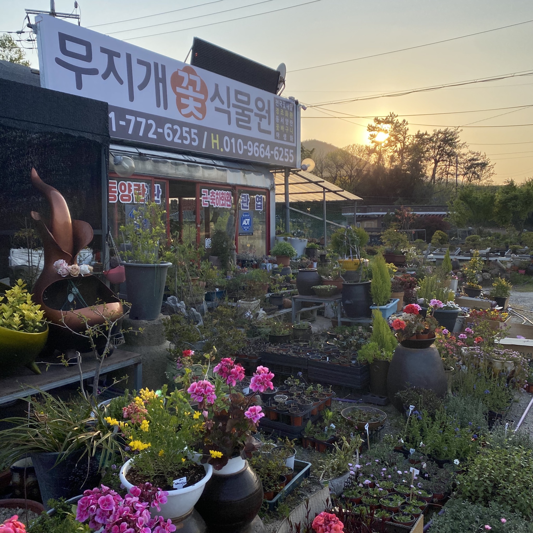 무지개꽃식물원