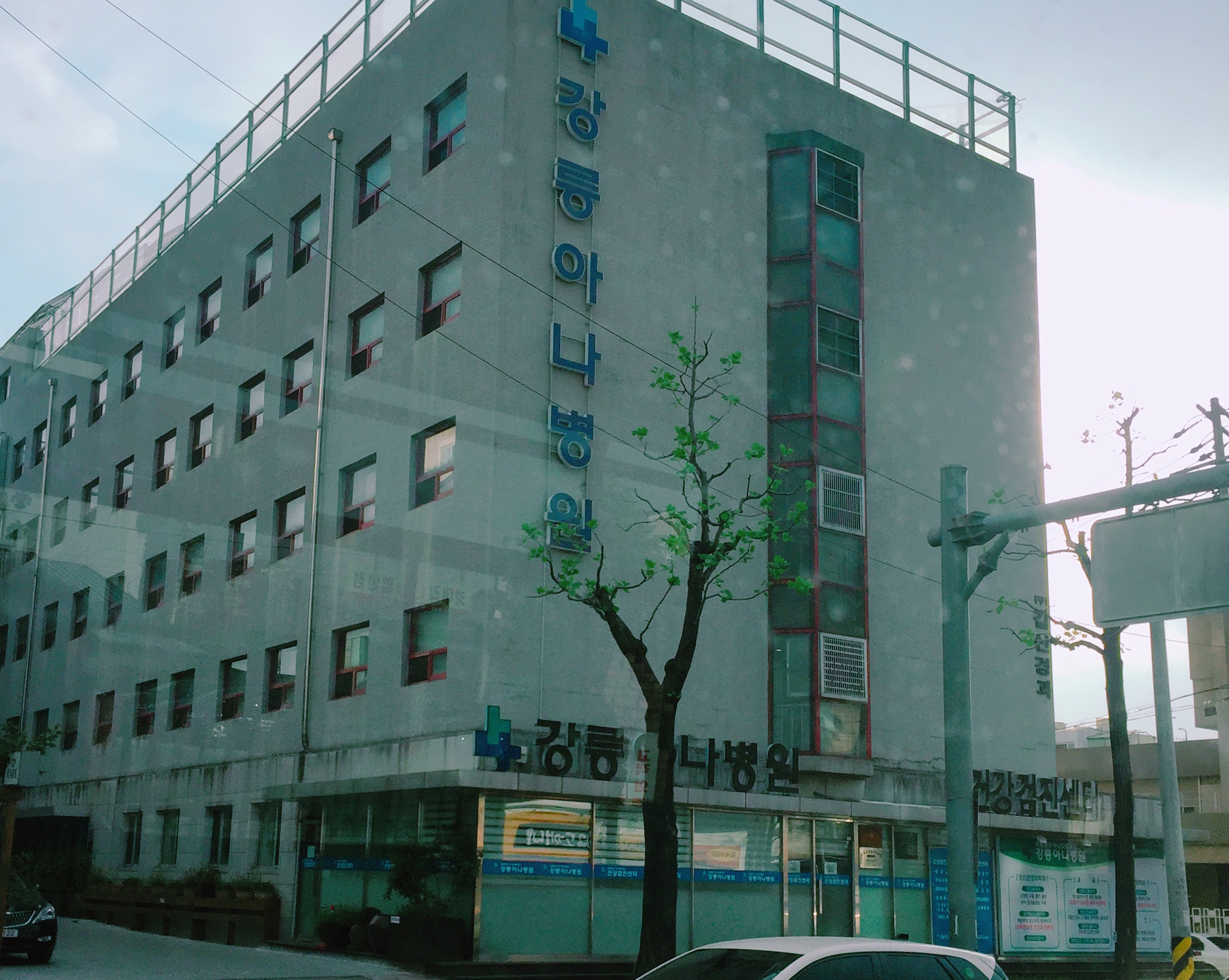 강릉아나병원 건강진단센터