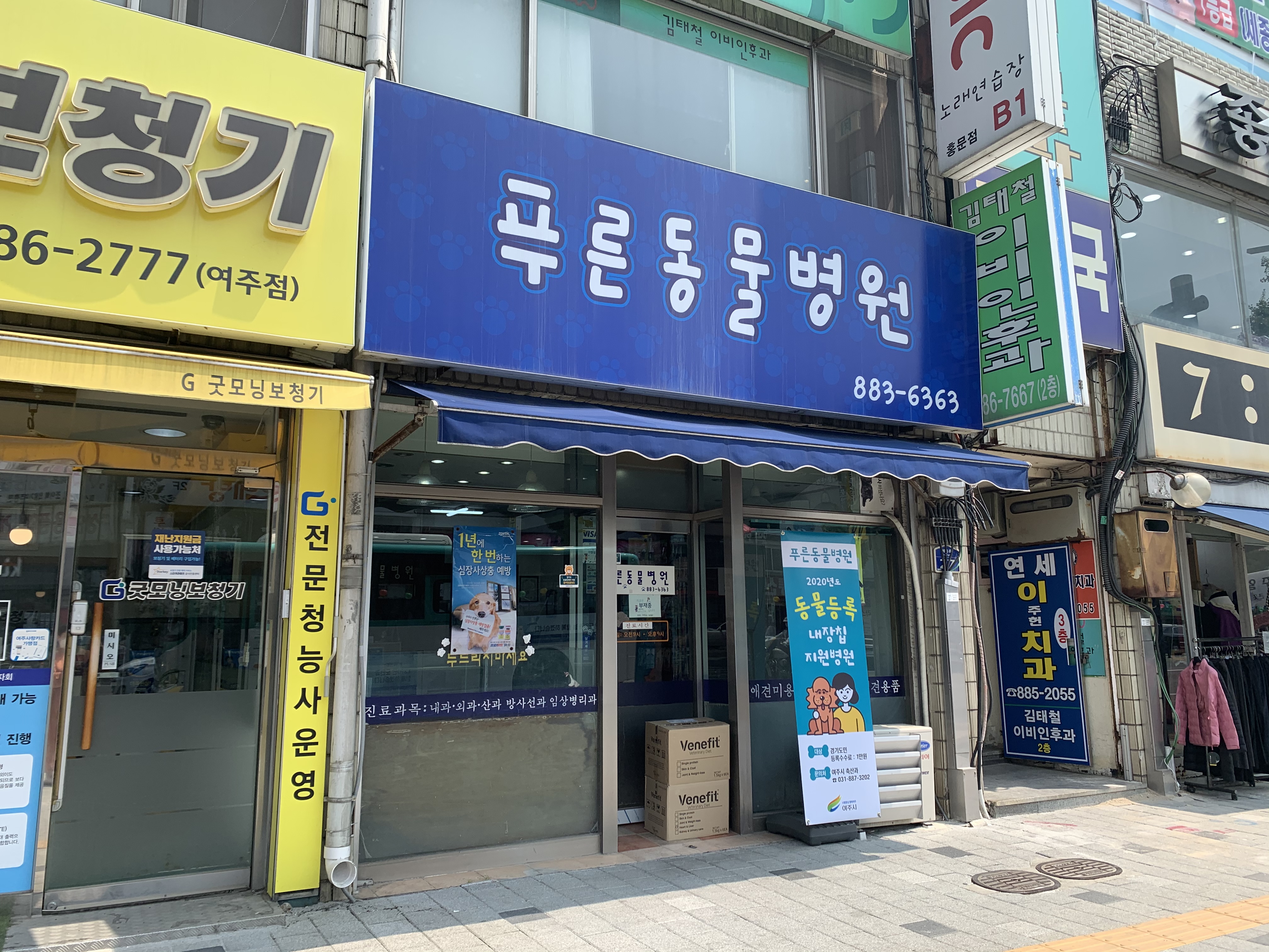 푸른동물병원