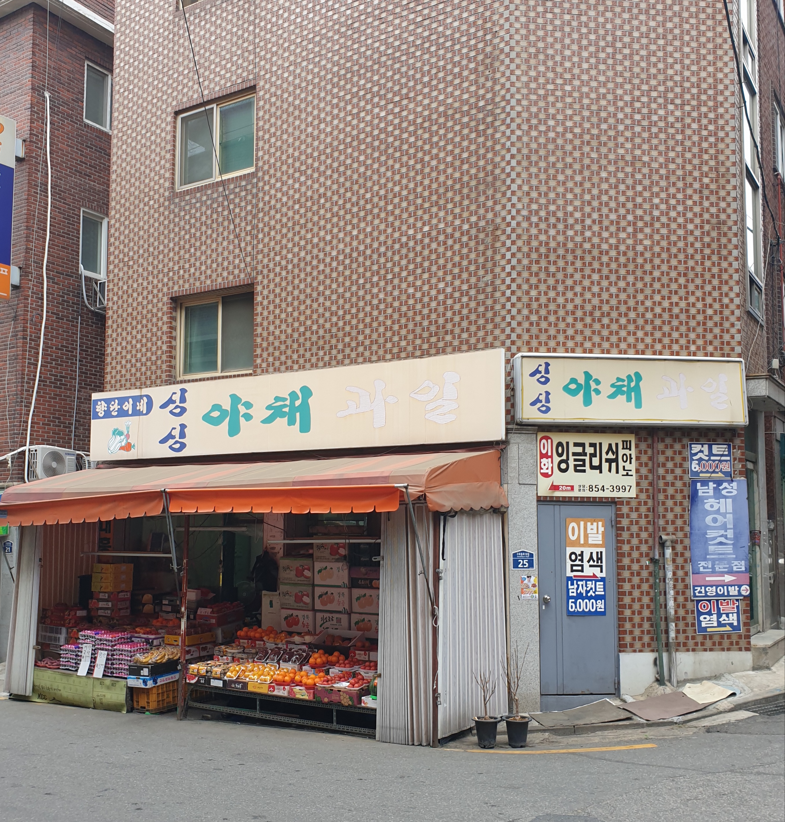 싱싱야채과일