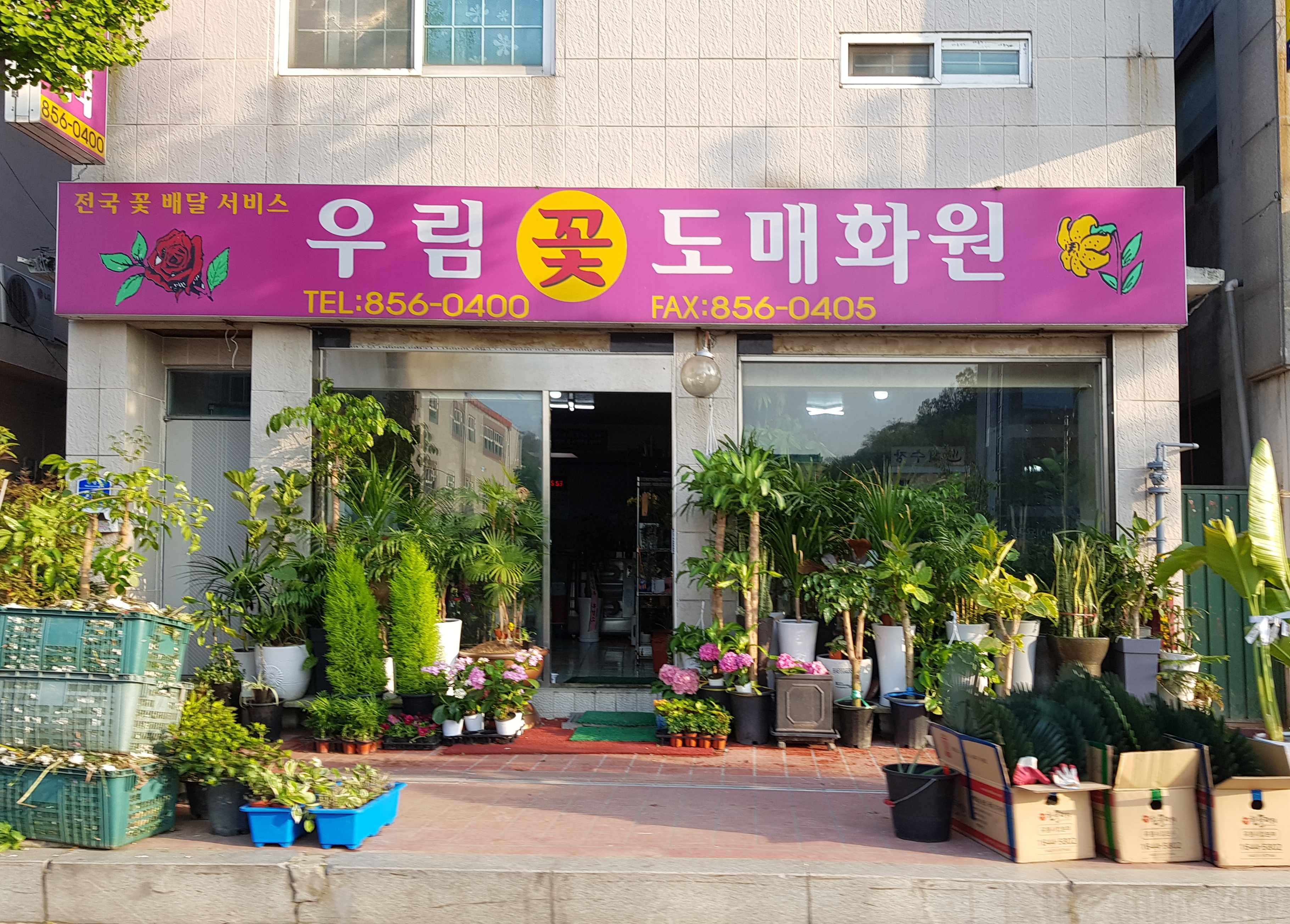 우림꽃도매화원