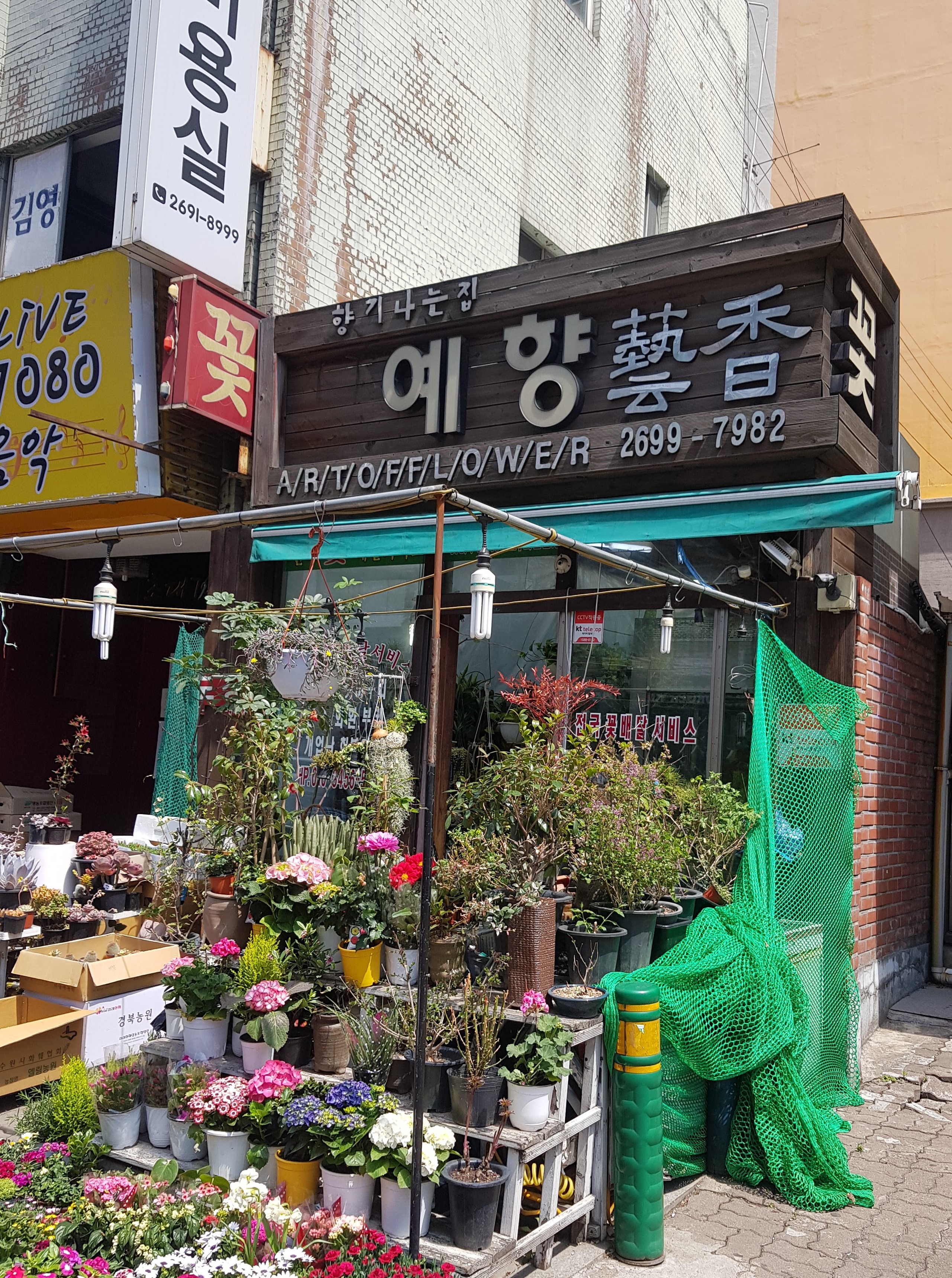 예향