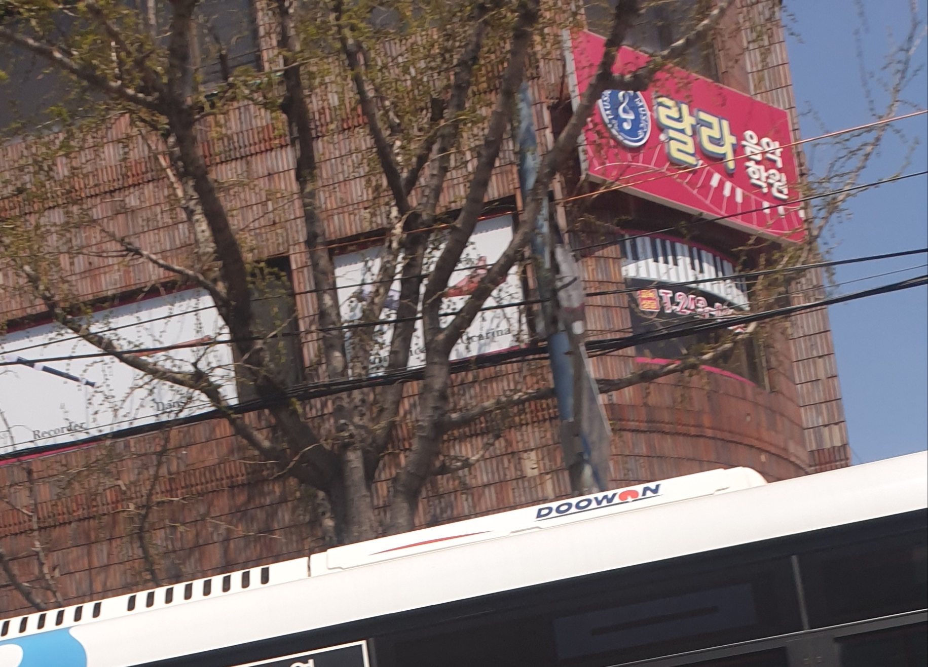랄라음악학원
