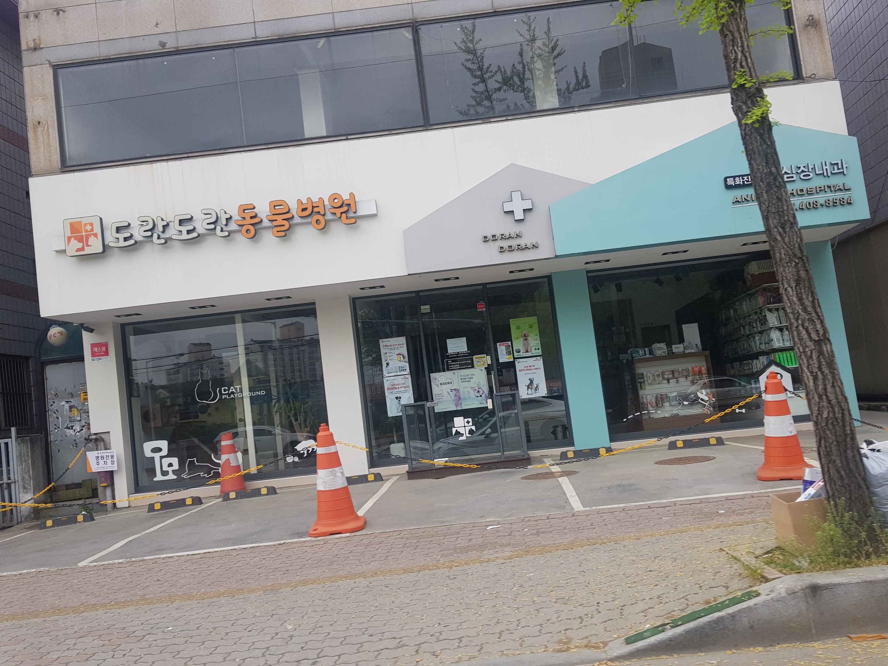 도란도란동물병원 대표 이미지