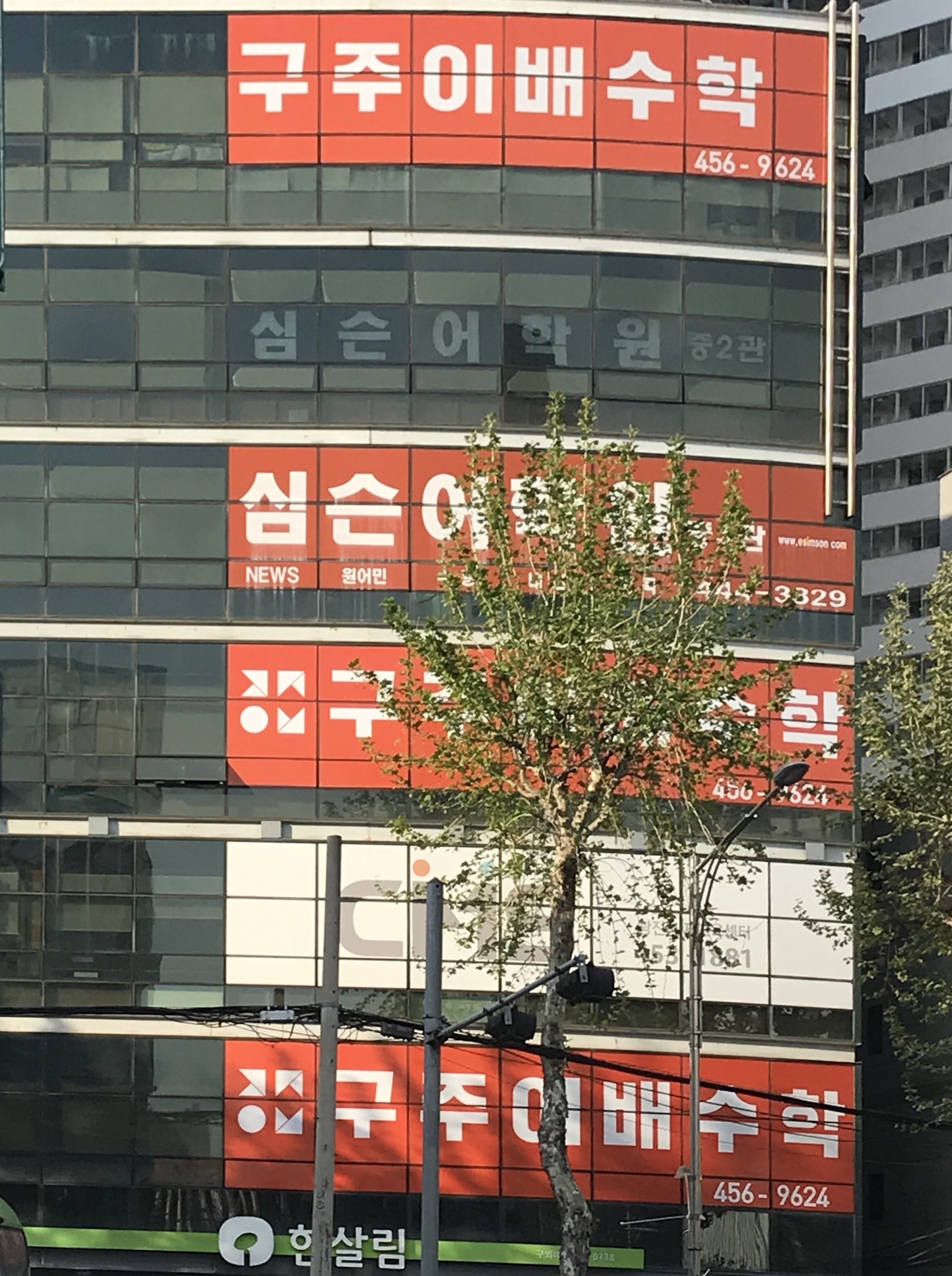 구주이배수학 광진본원