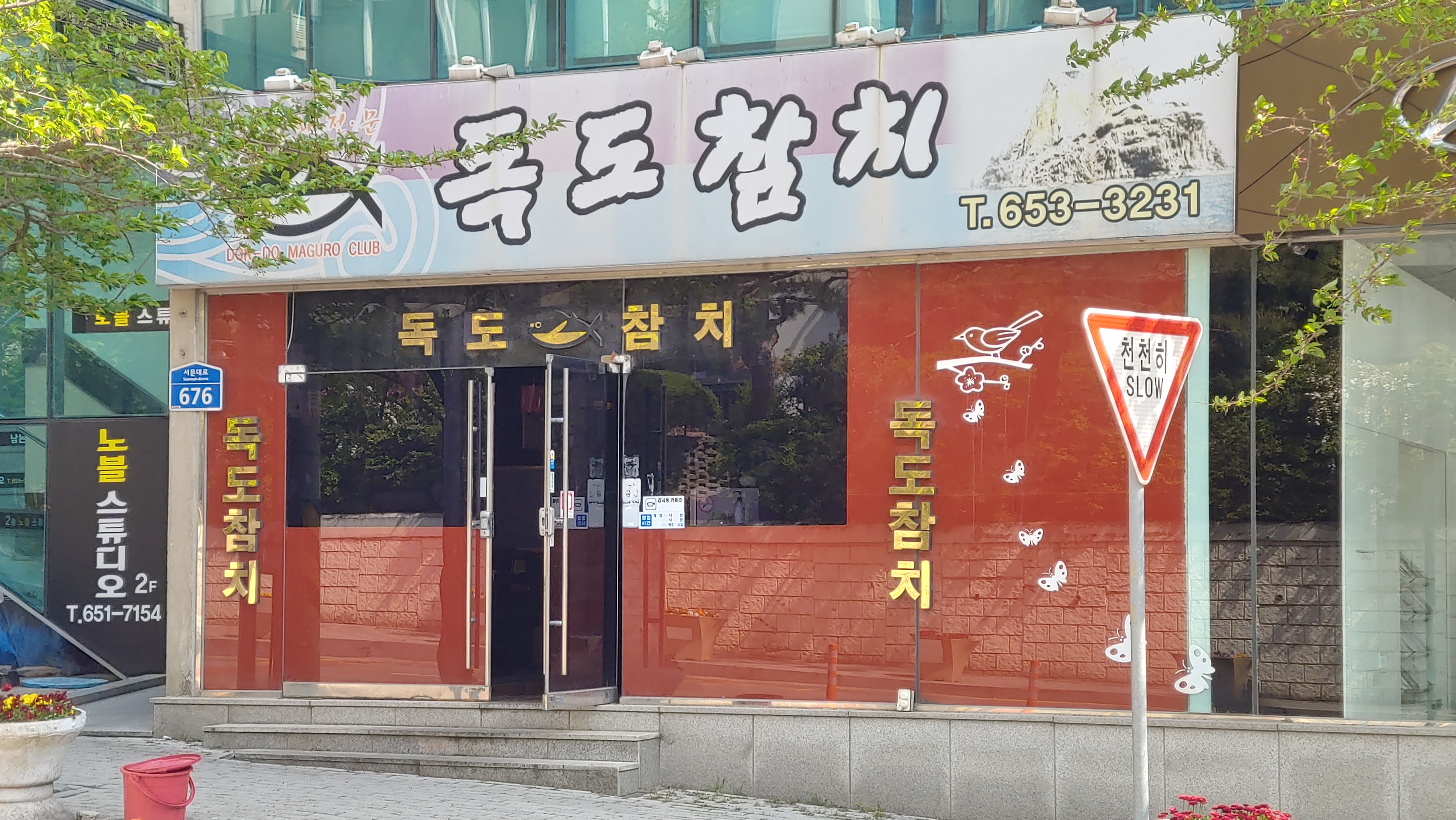 독도참치