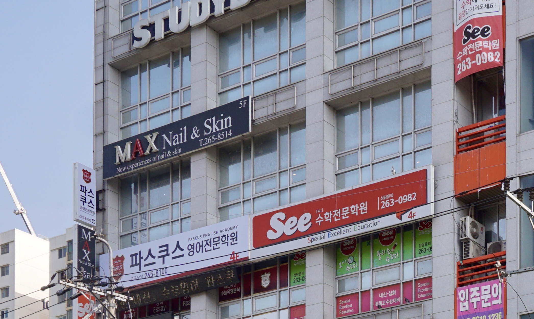 맥스네일앤스킨