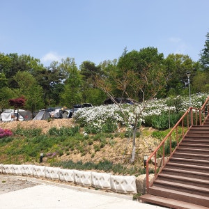 수덕 캠핑장