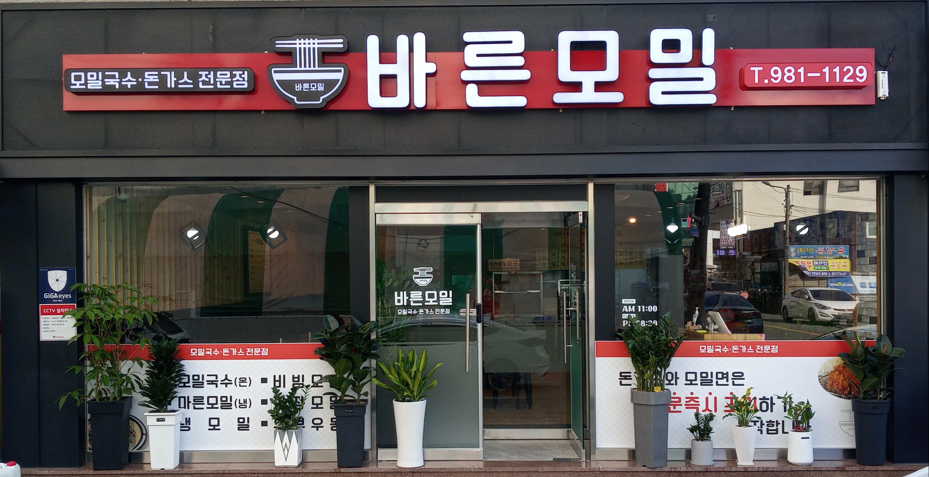 바른모밀