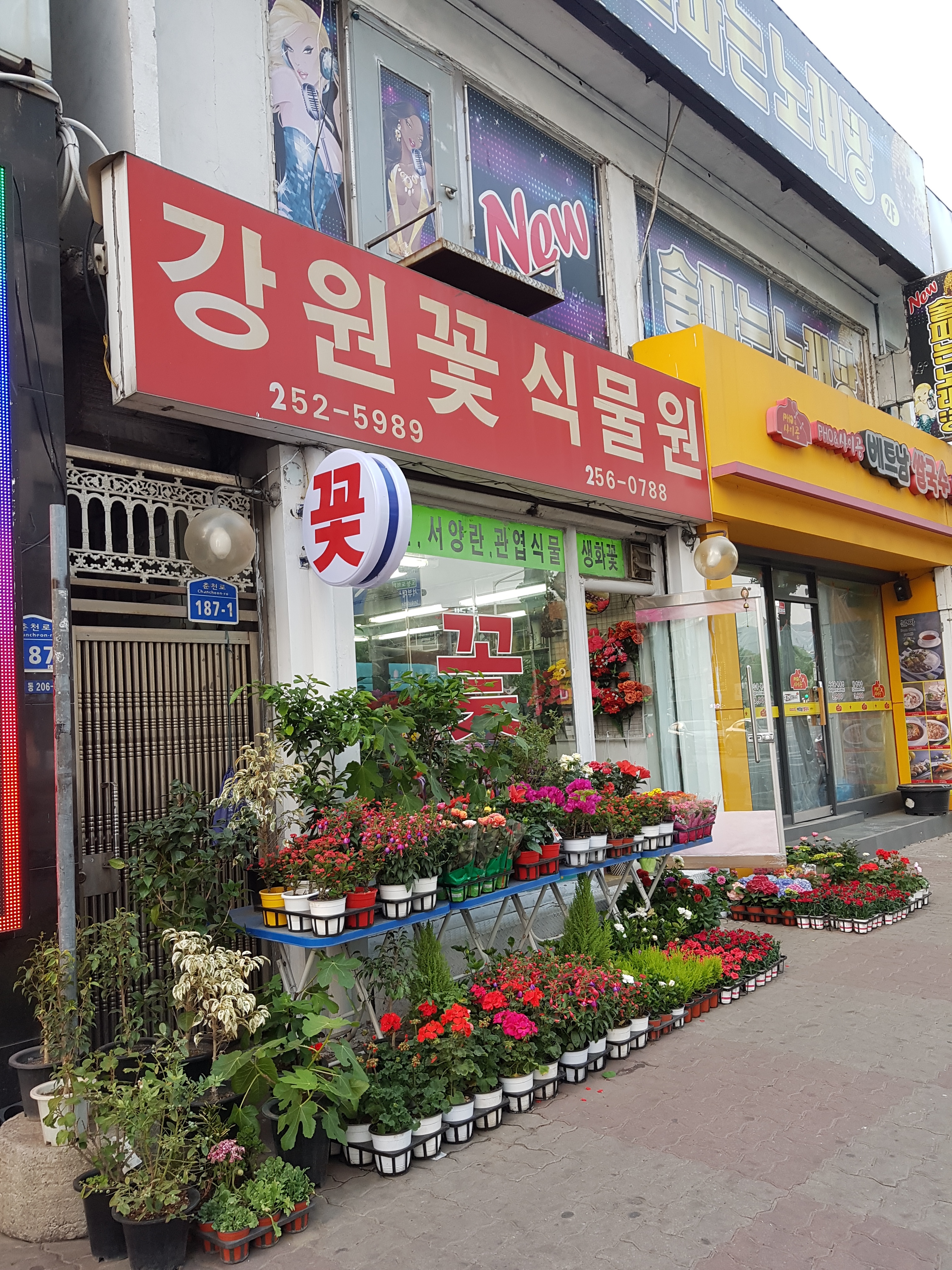 강원꽃식물원