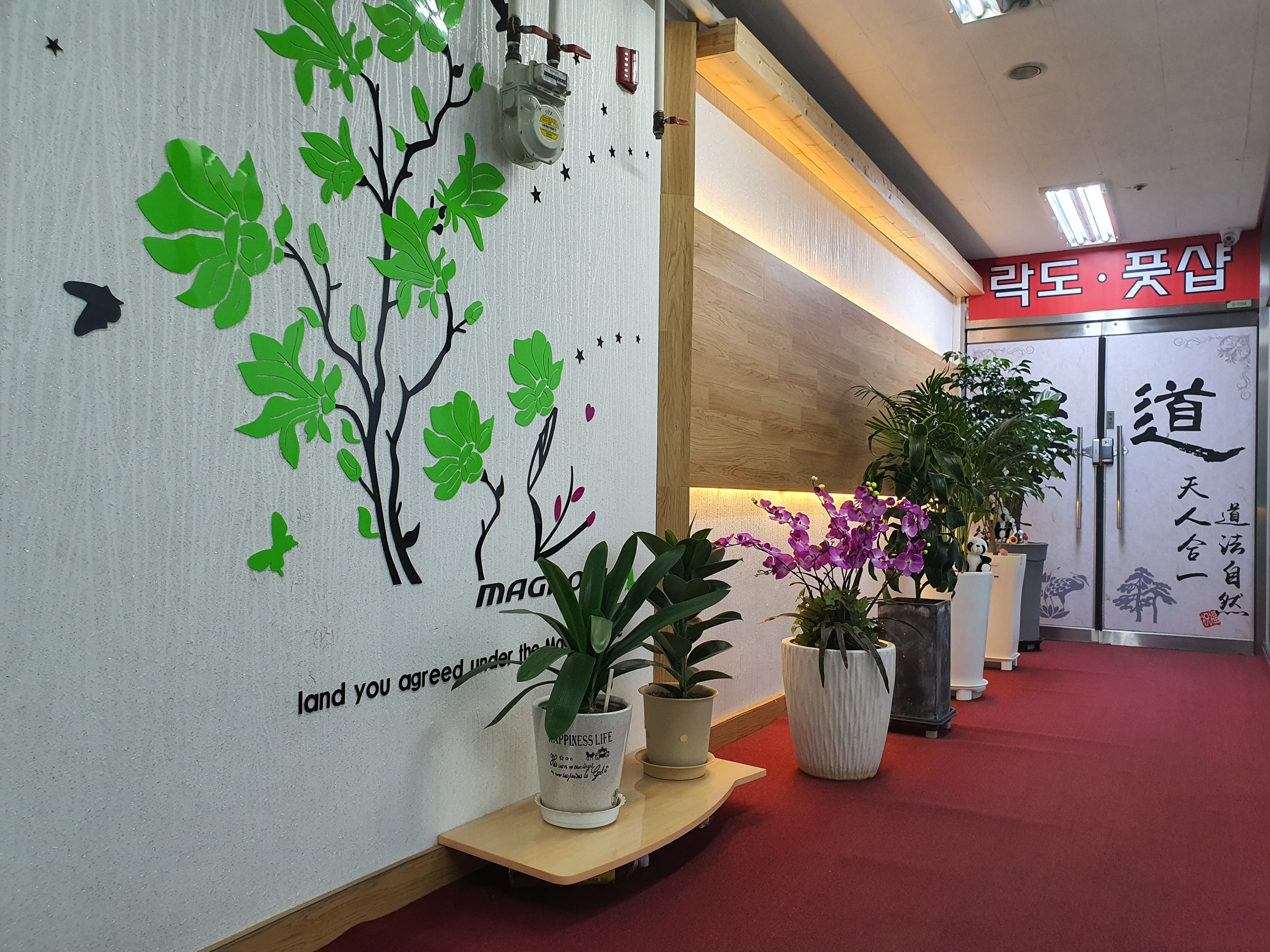 락도중국전통마사지 photo 5