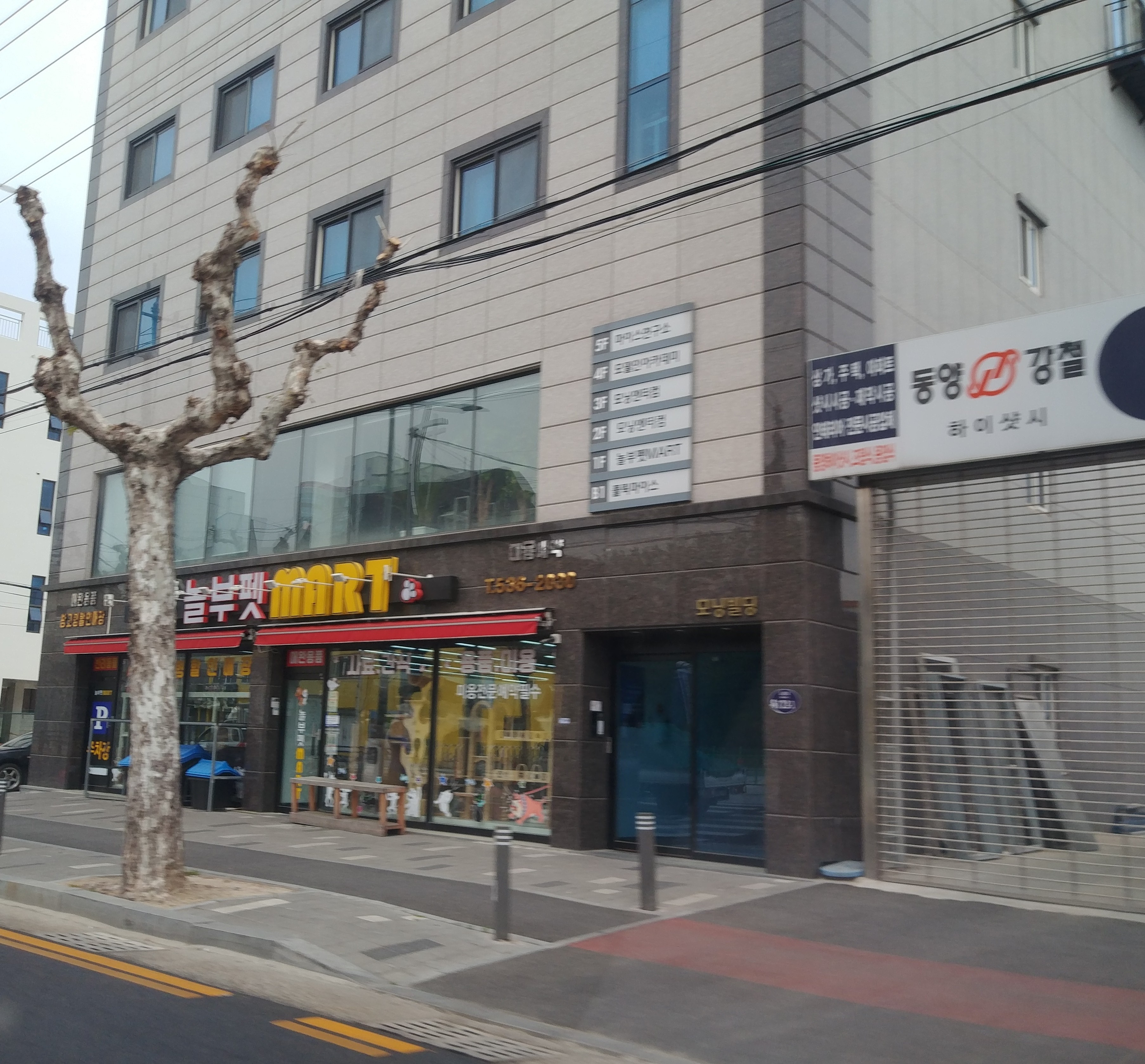 놀부펫 대표 이미지