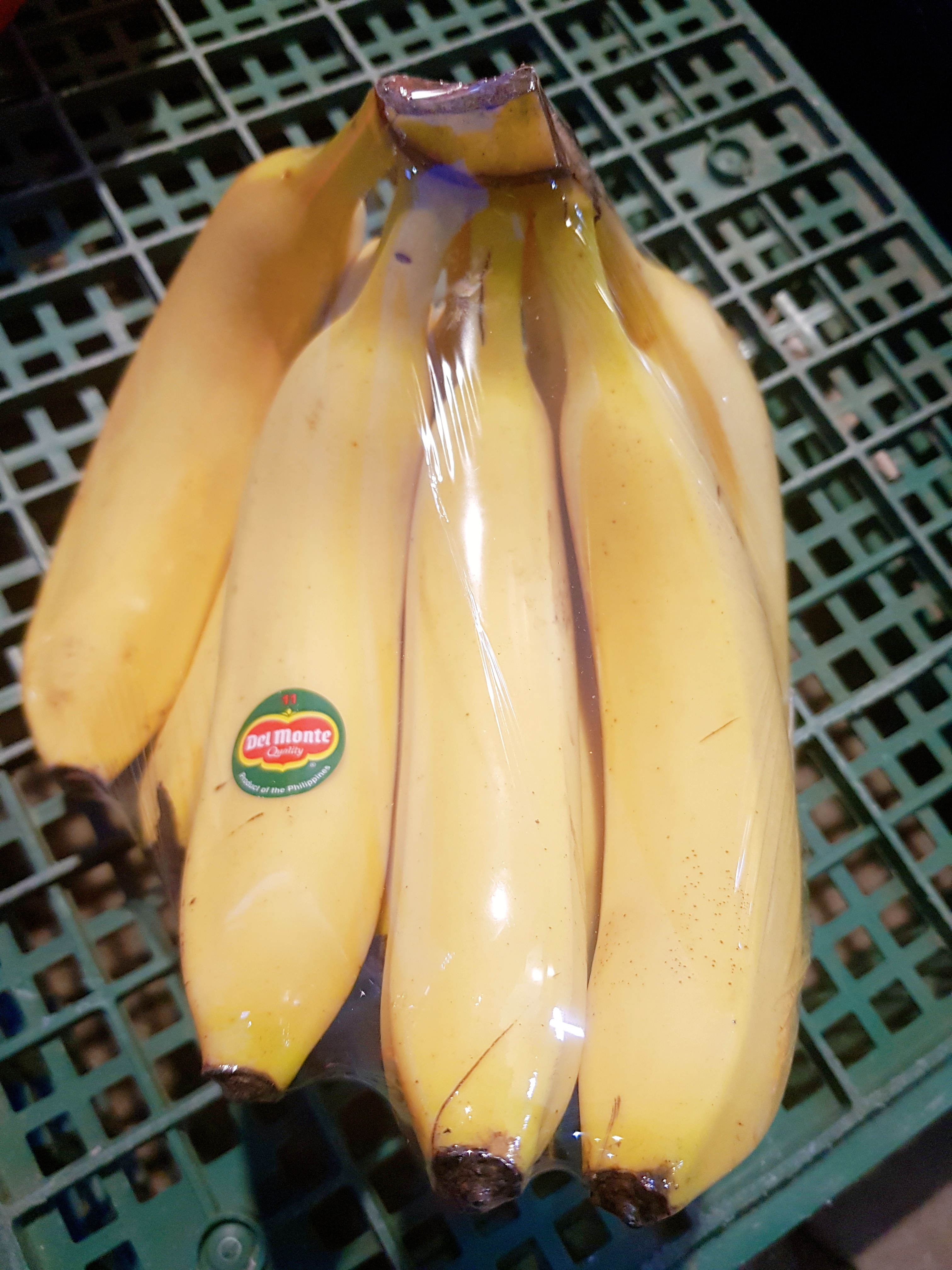 예산청과야채