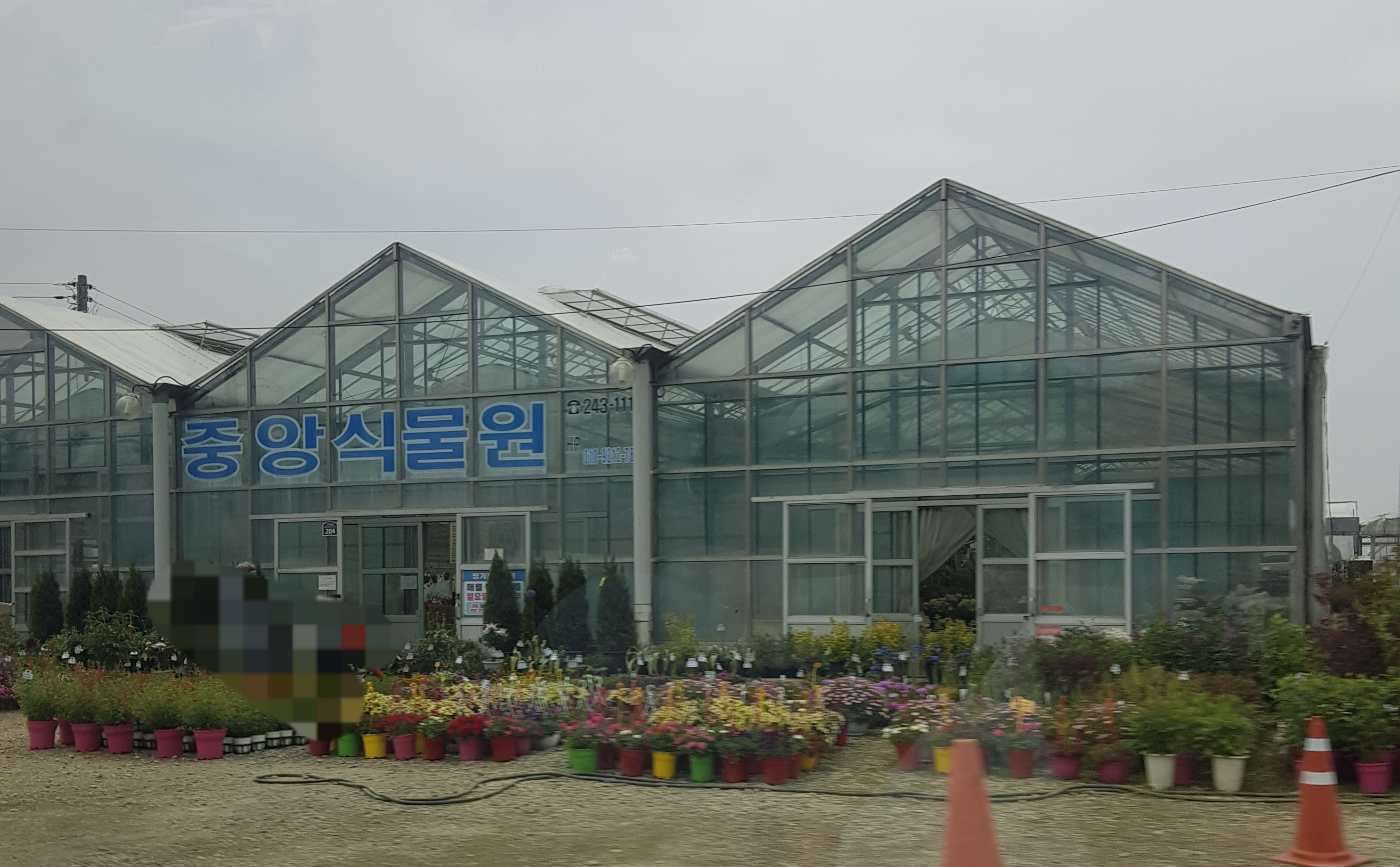 중앙식물원