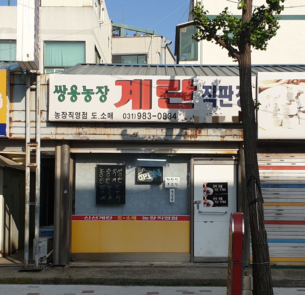 쌍용계란