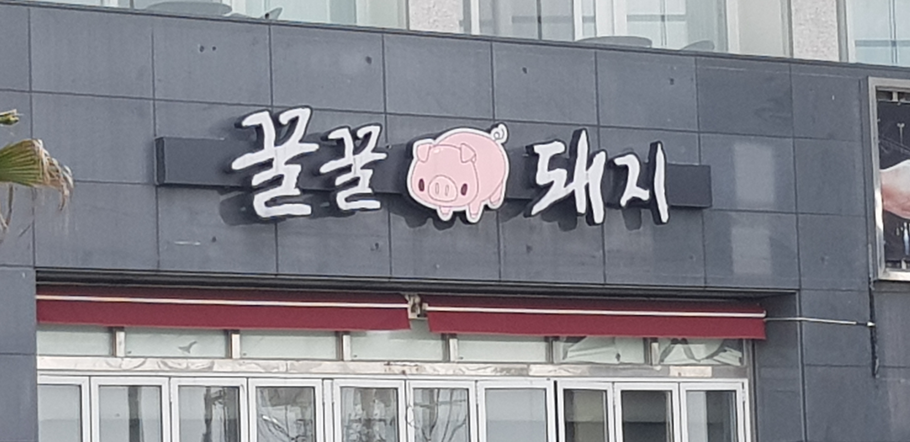 꿀꿀돼지