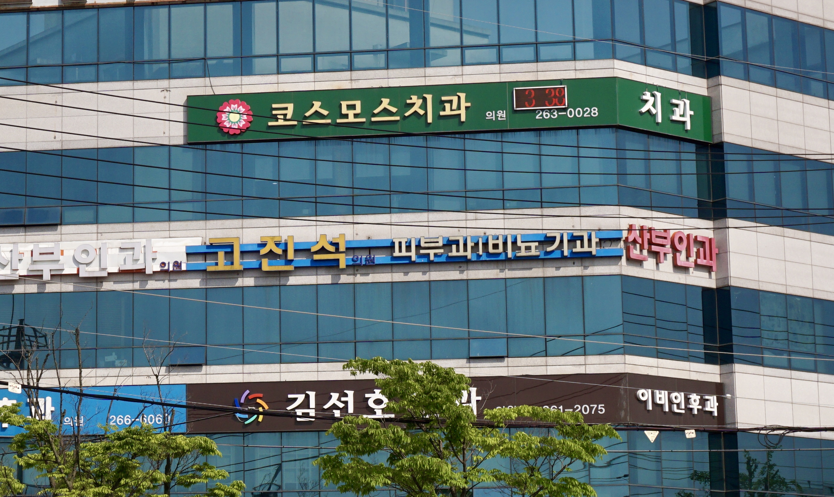 고진석의원