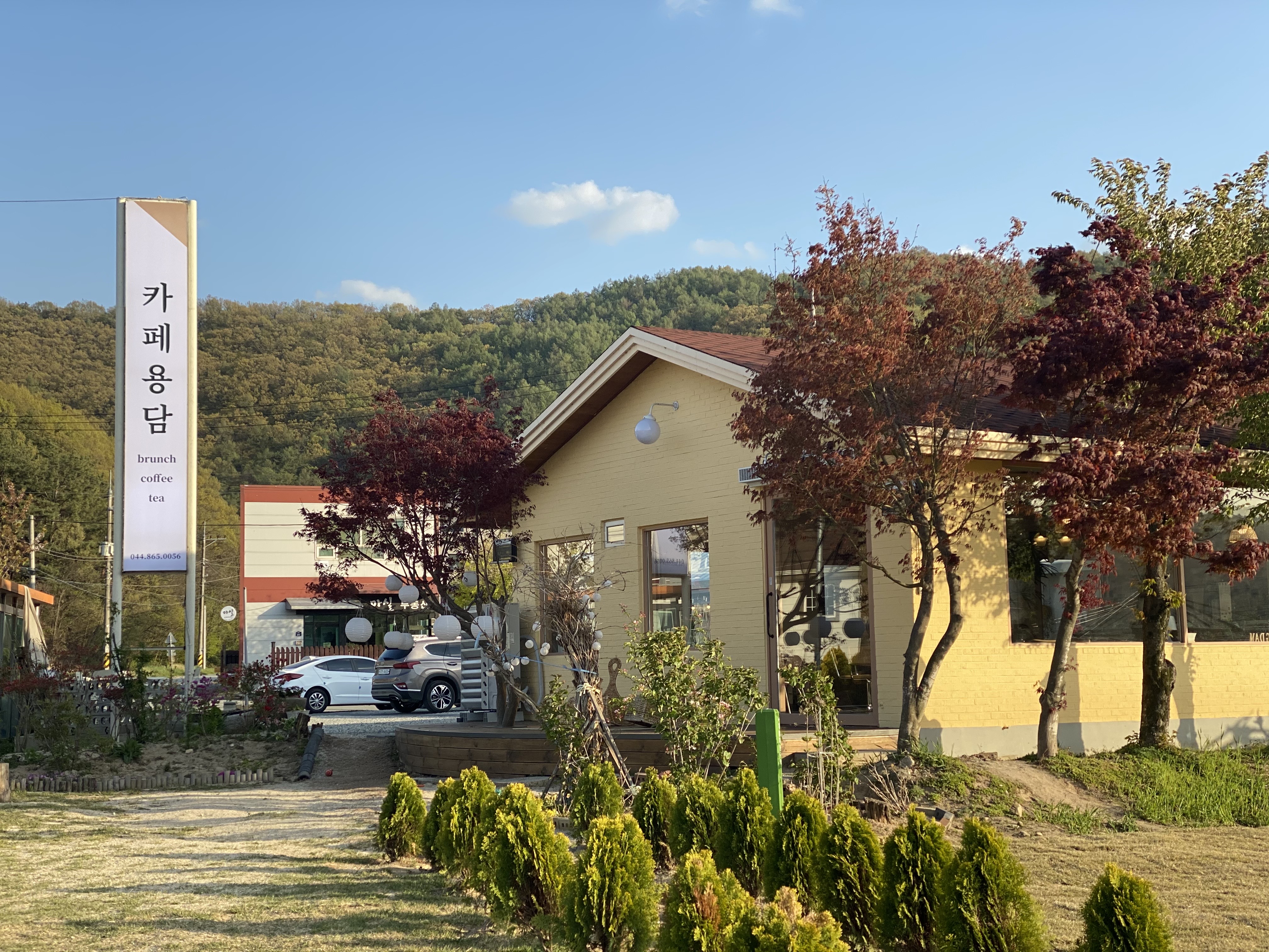 카페용담 세종시 애견카페