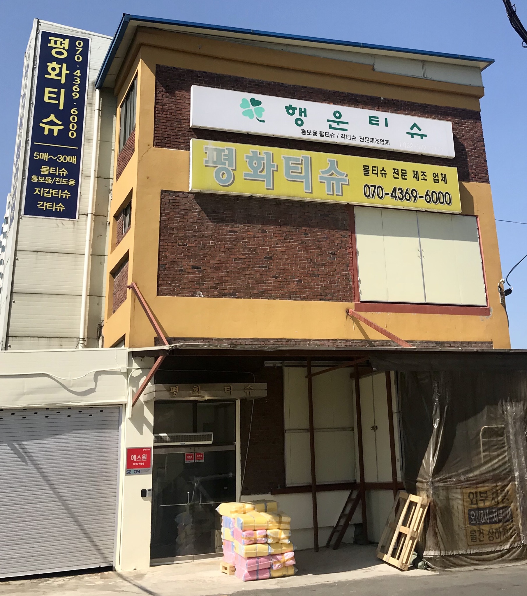 평화티슈