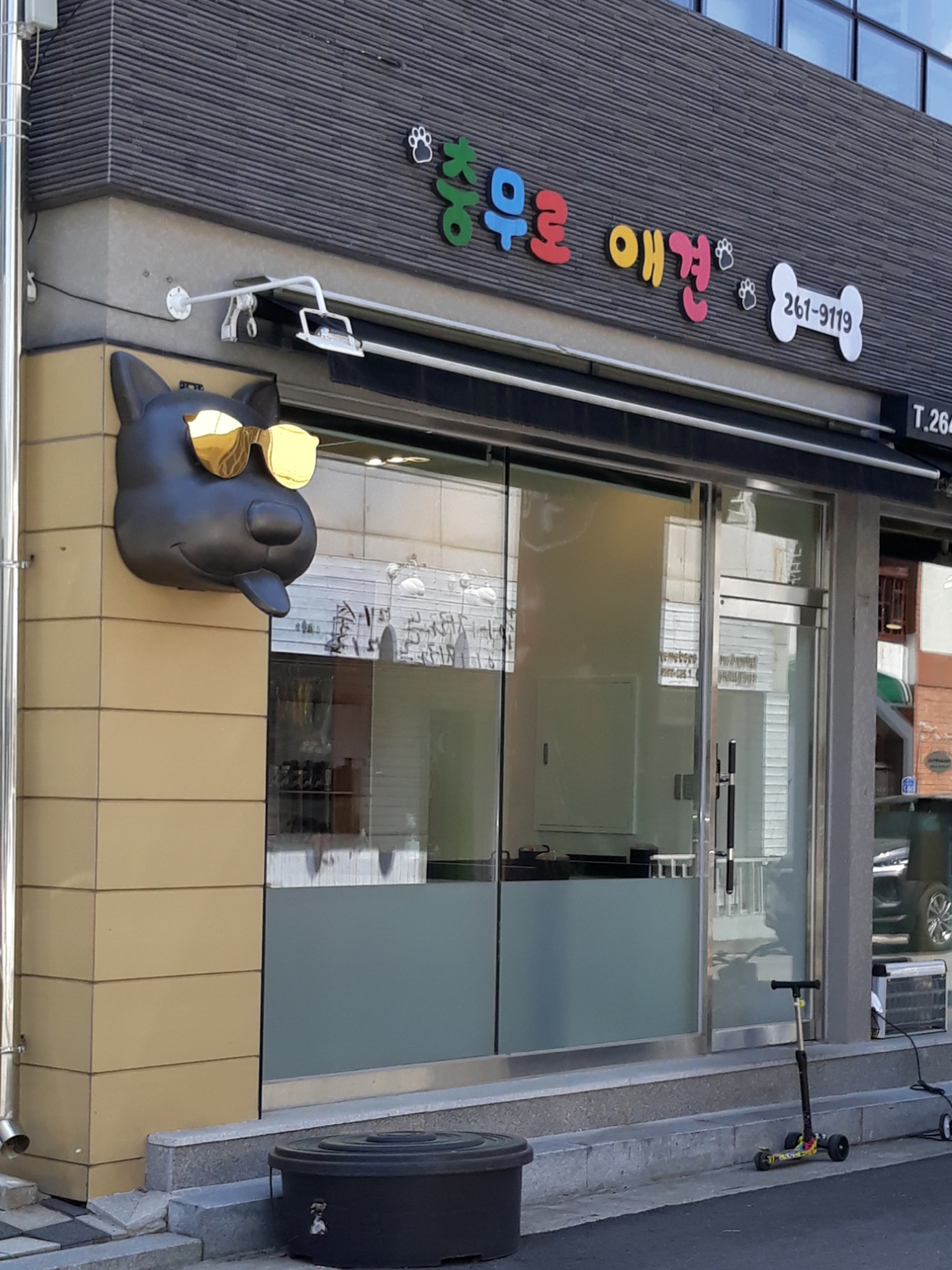 충무로애견 대표 이미지