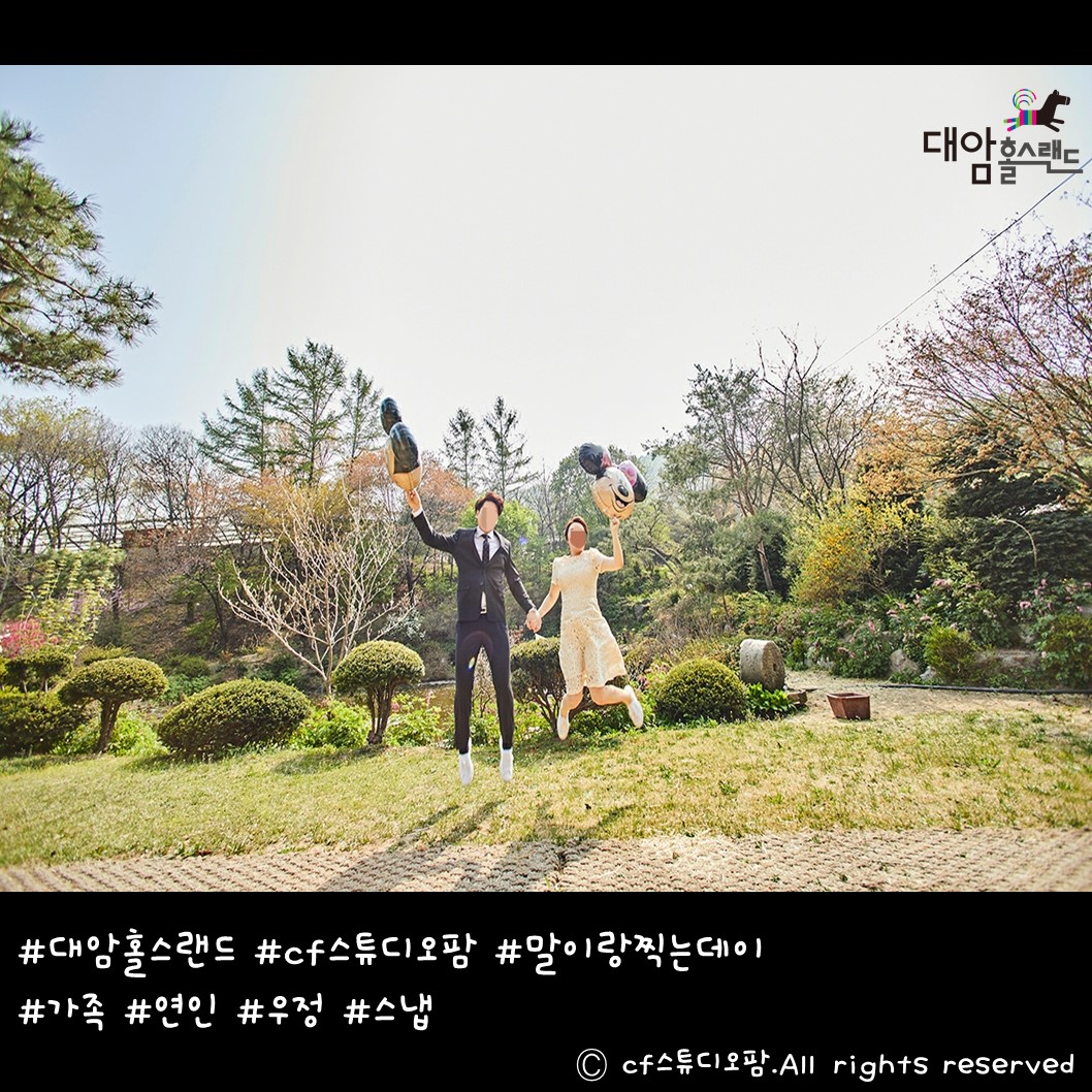 대암홀스랜드