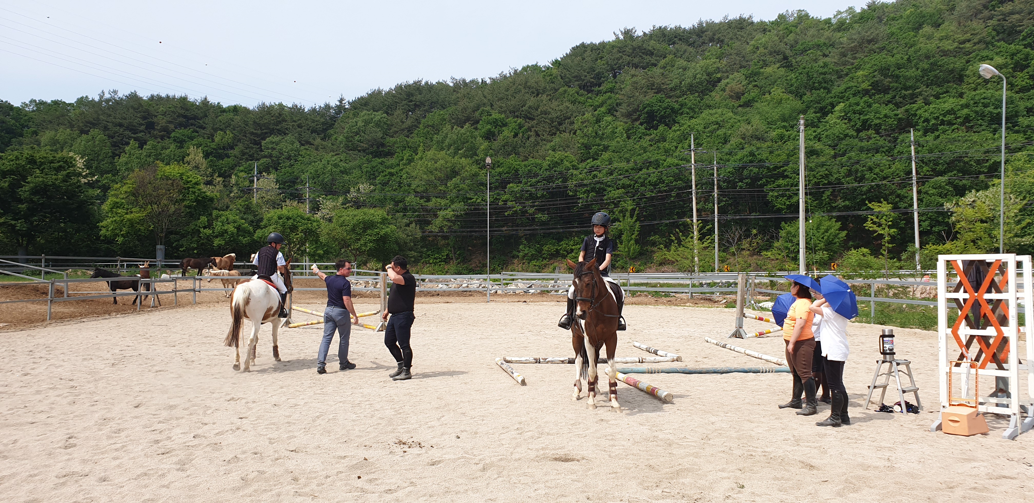 대암홀스랜드