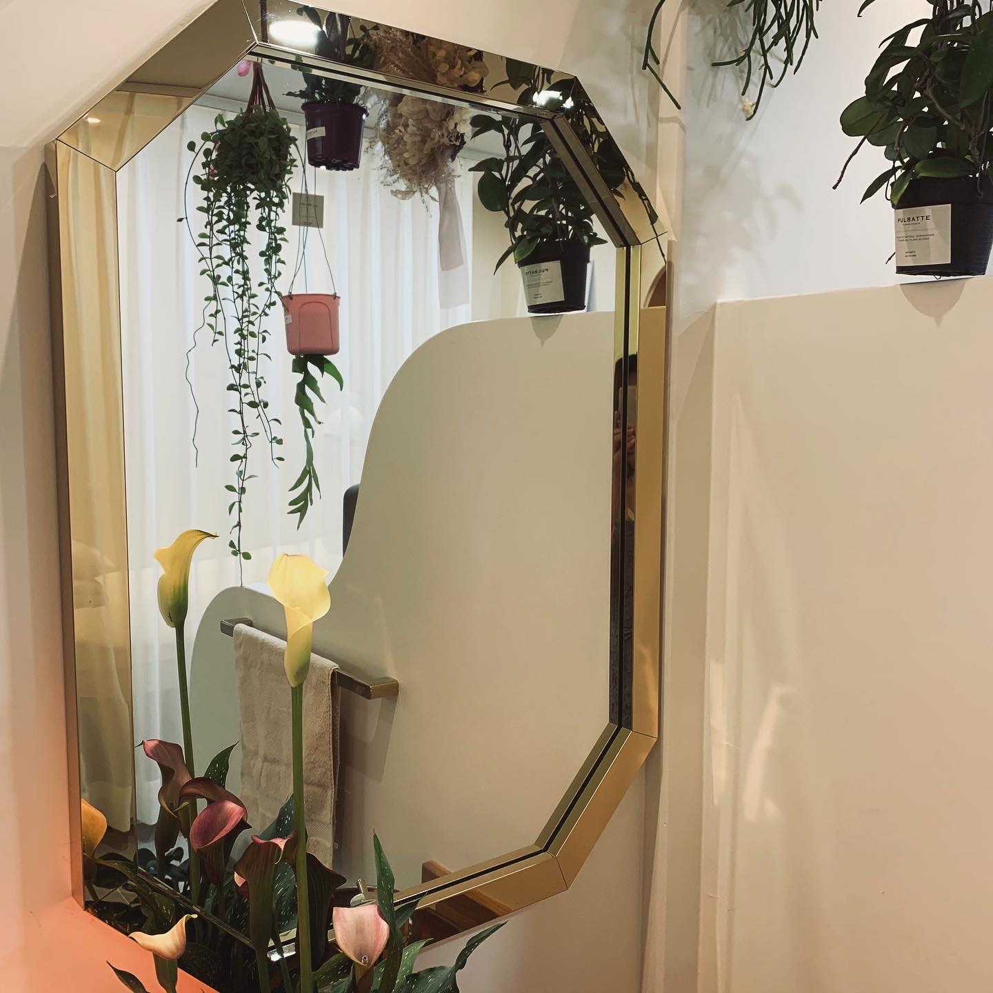 라라네일 대표 이미지