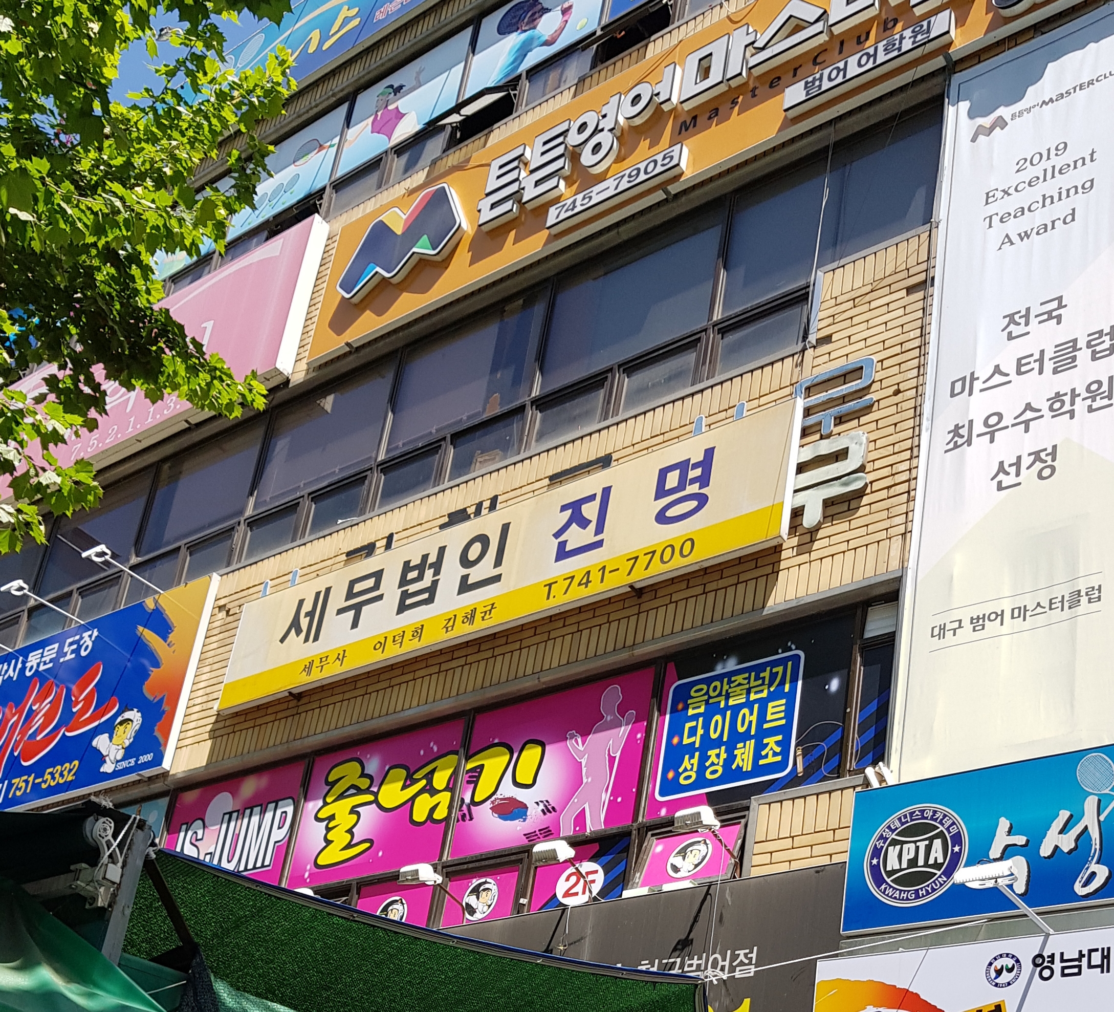 세무법인 진명