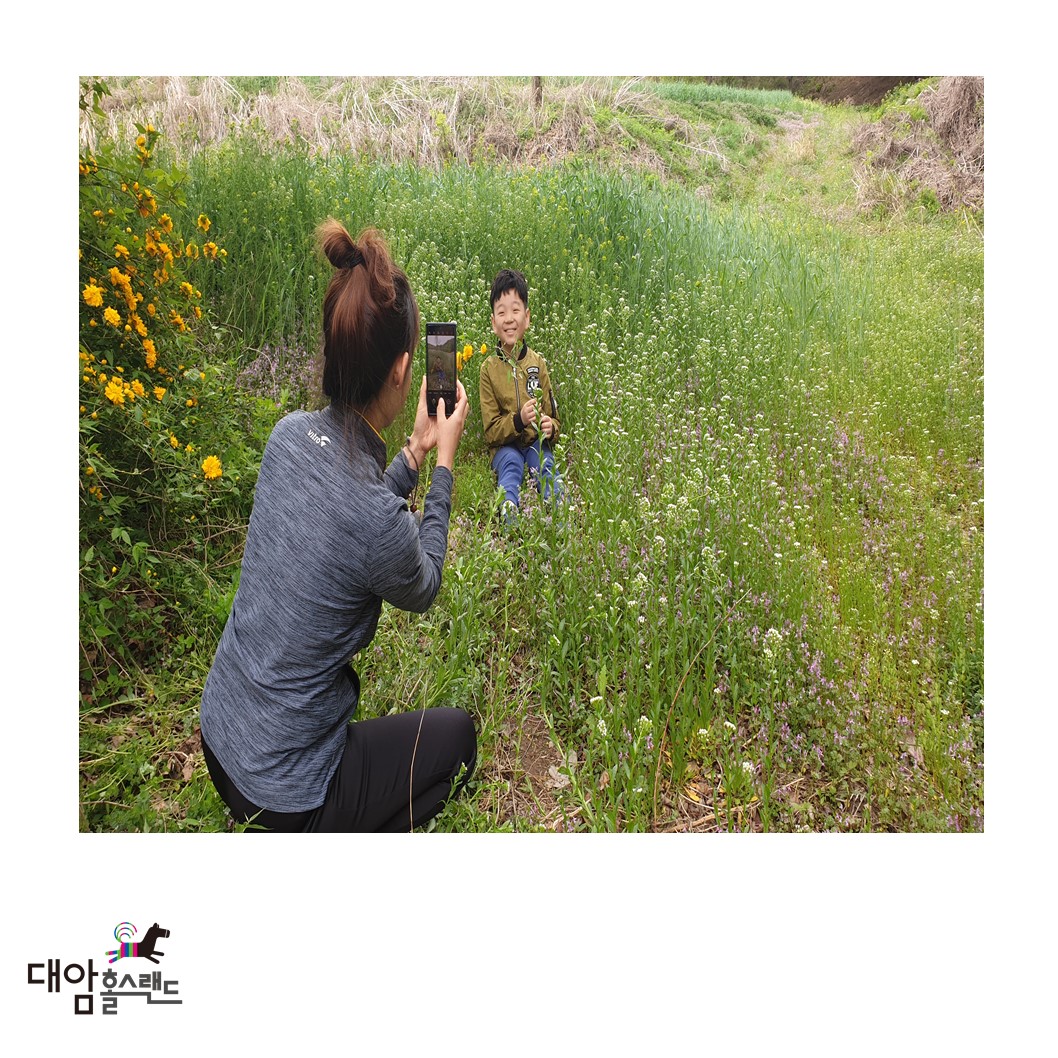대암홀스랜드
