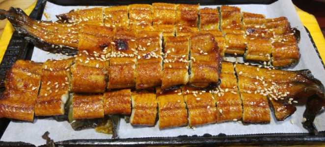 오복민물장어