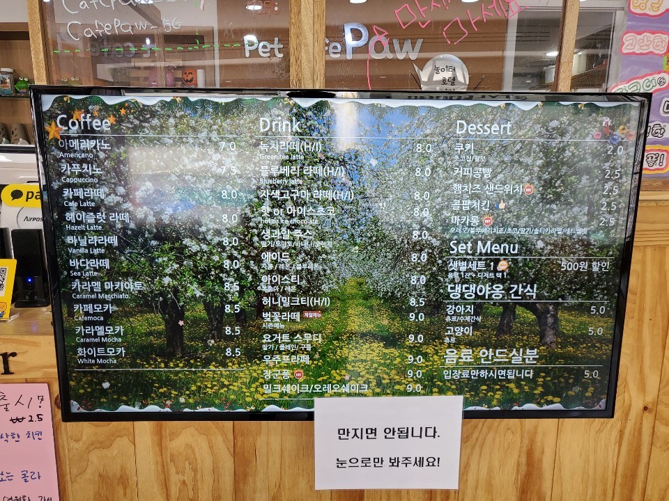 애견카페포 & 강아지유치원