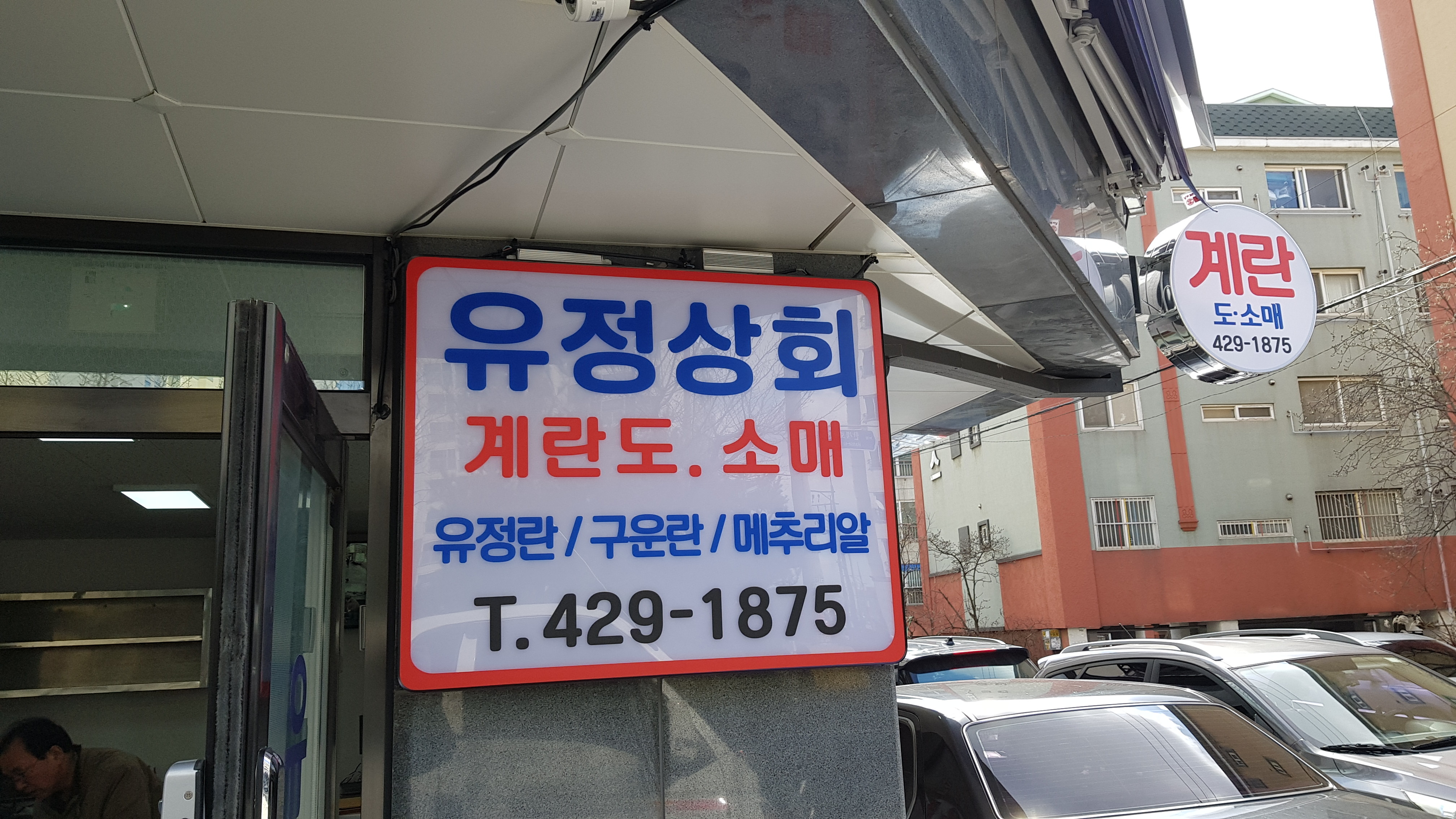 유정상회