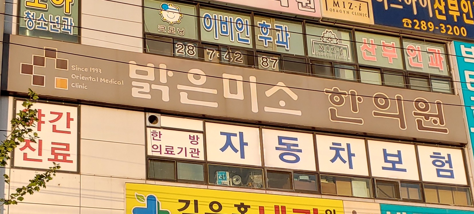 밝은미소한의원