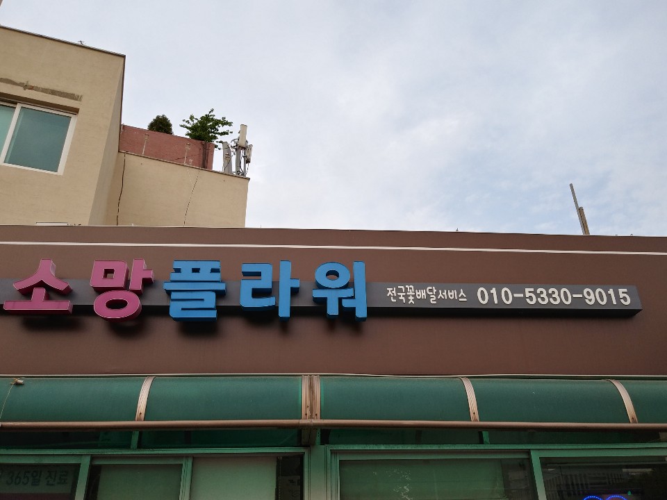 소망플라워