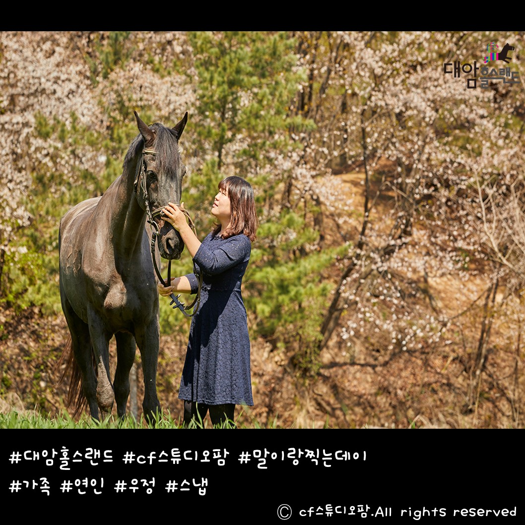 대암홀스랜드